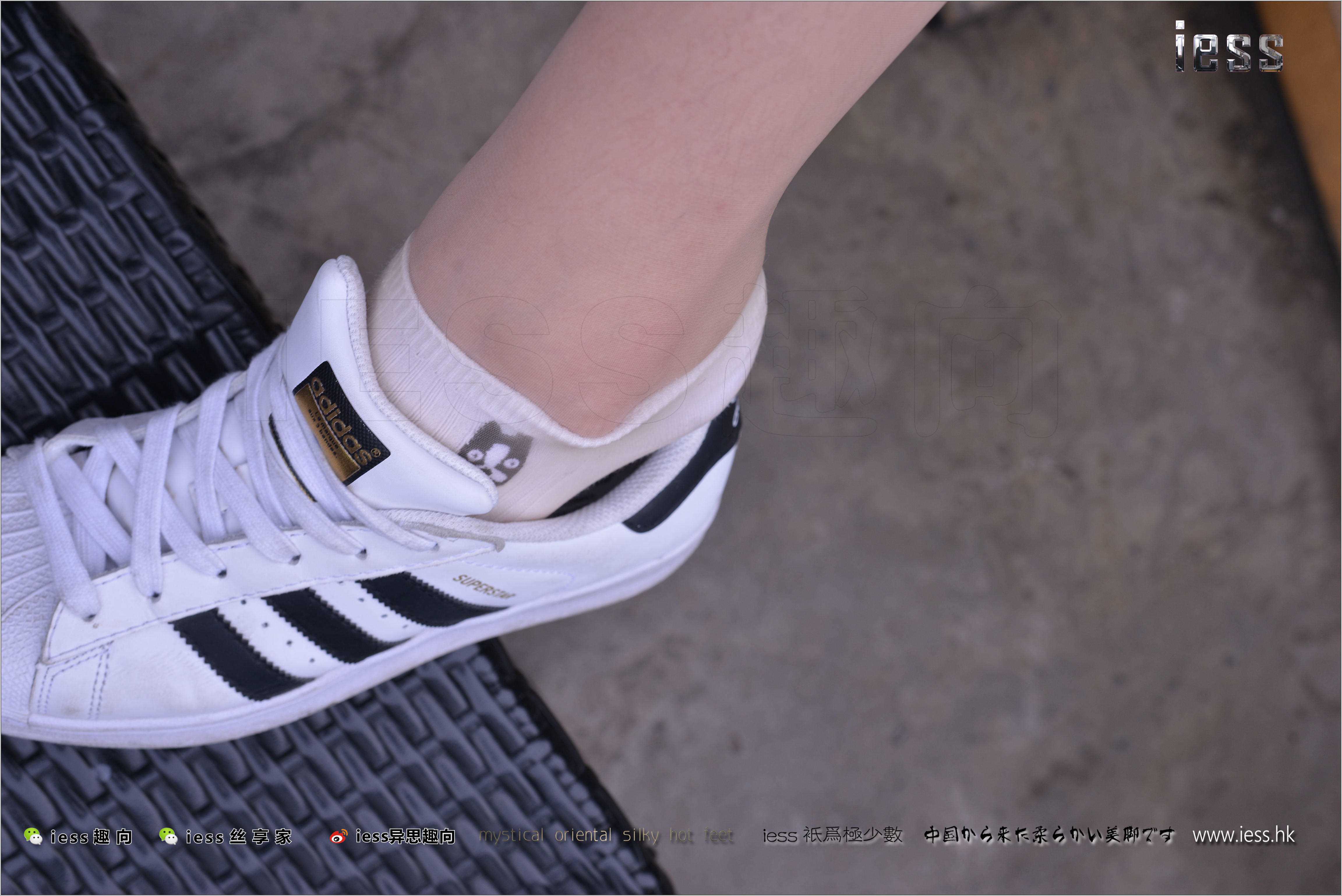 China Beauty Legs and feet 272