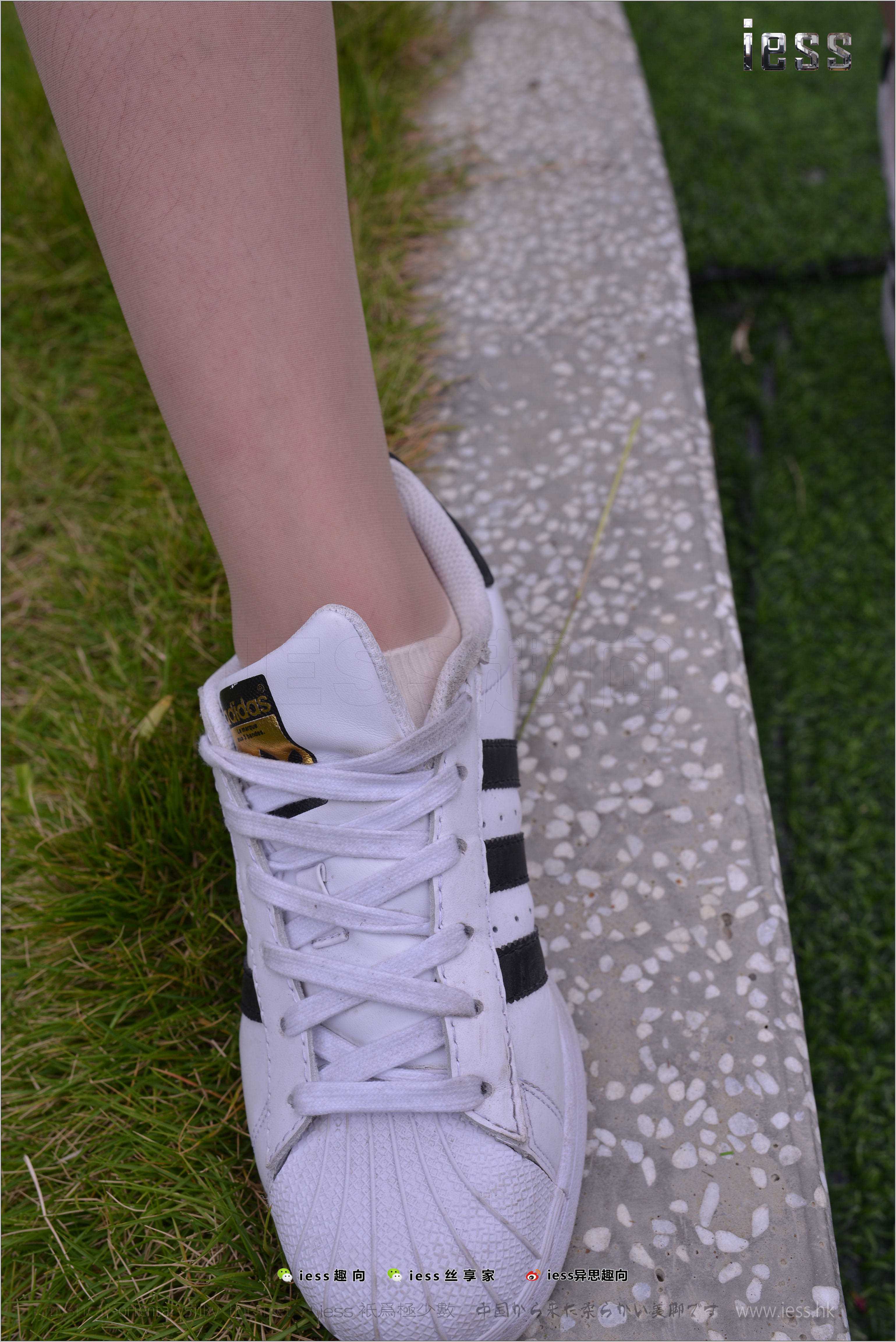 China Beauty Legs and feet 272