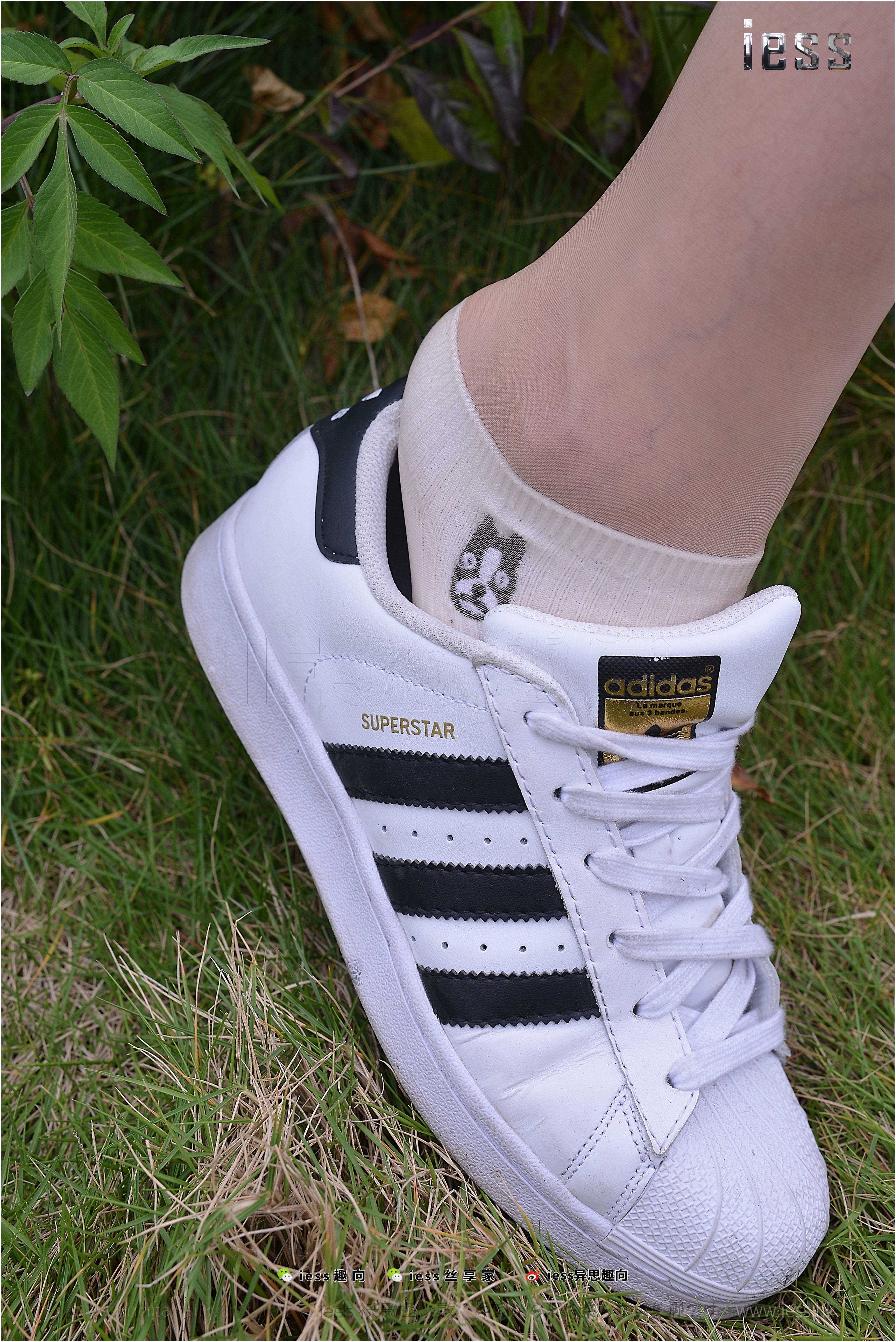 China Beauty Legs and feet 272