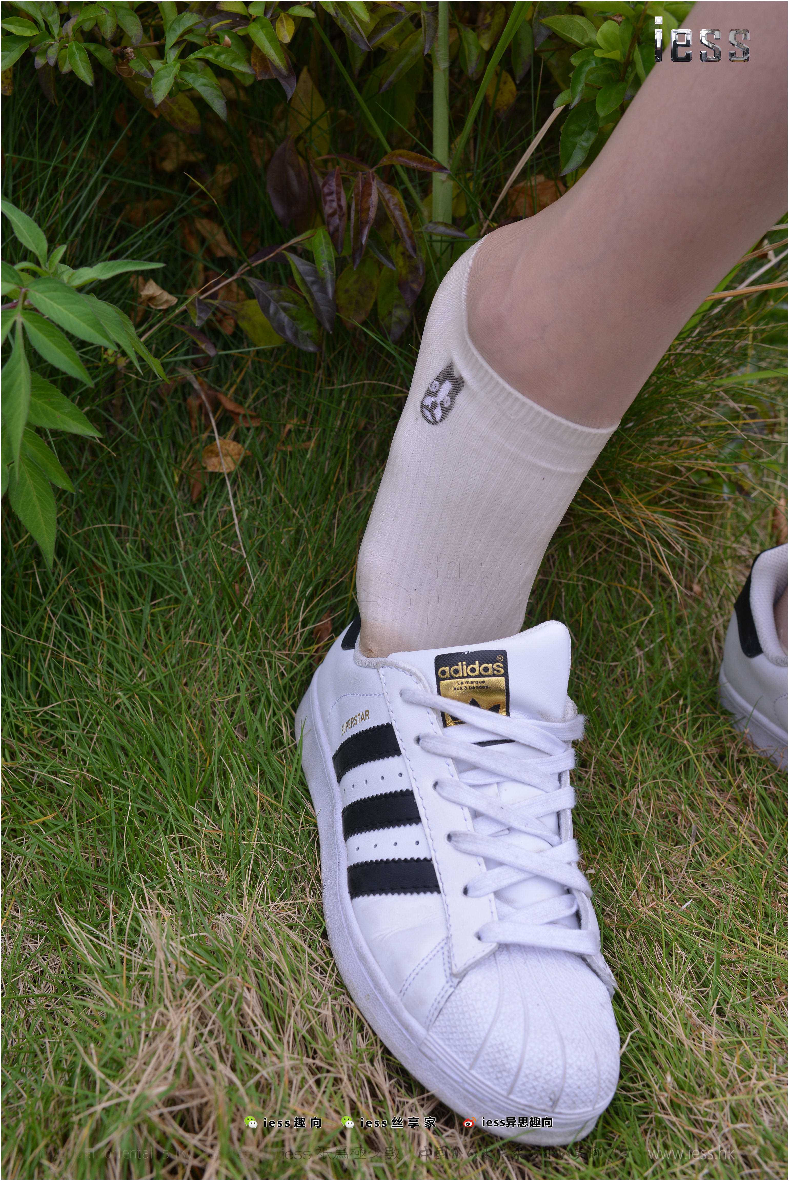 China Beauty Legs and feet 272