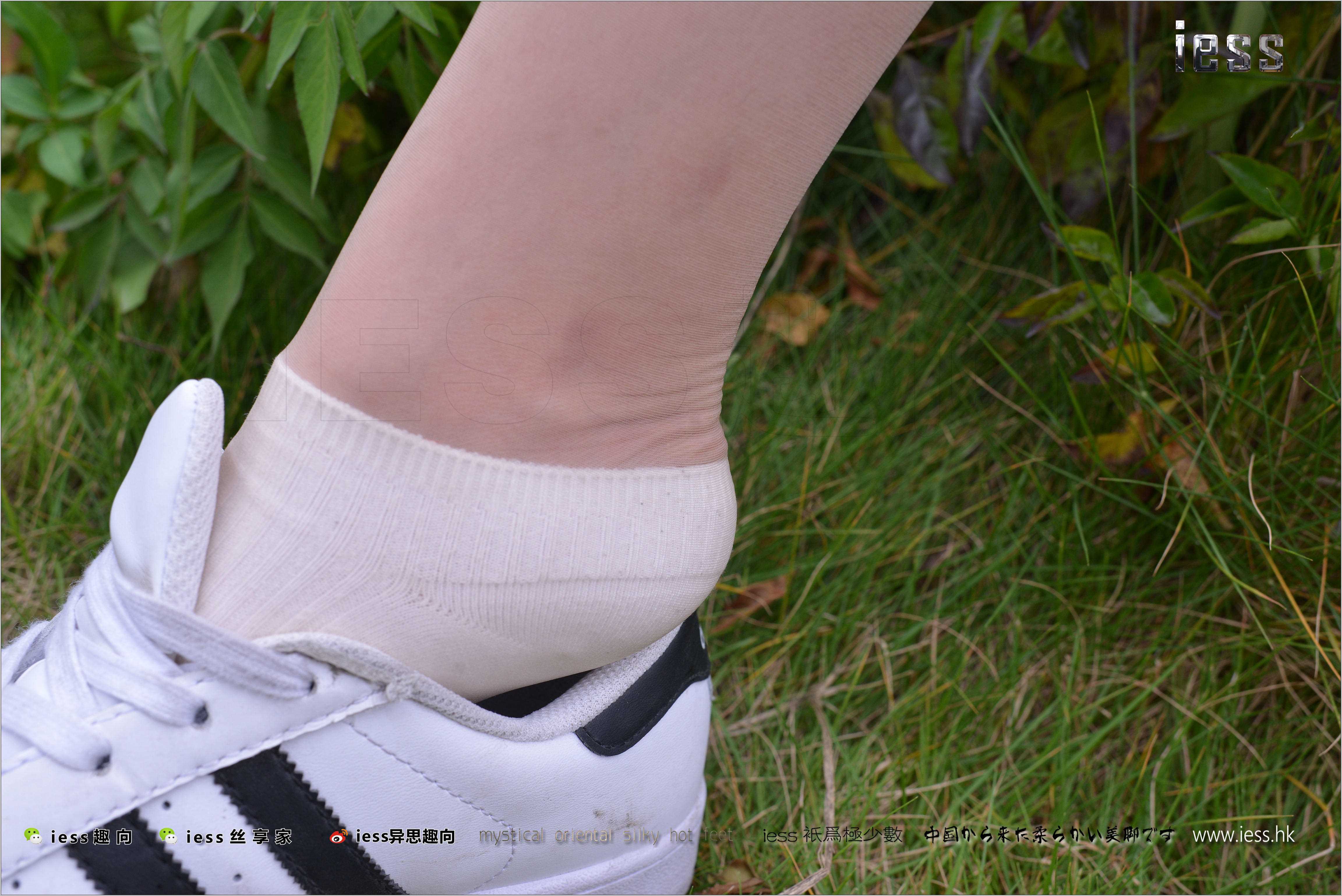 China Beauty Legs and feet 272