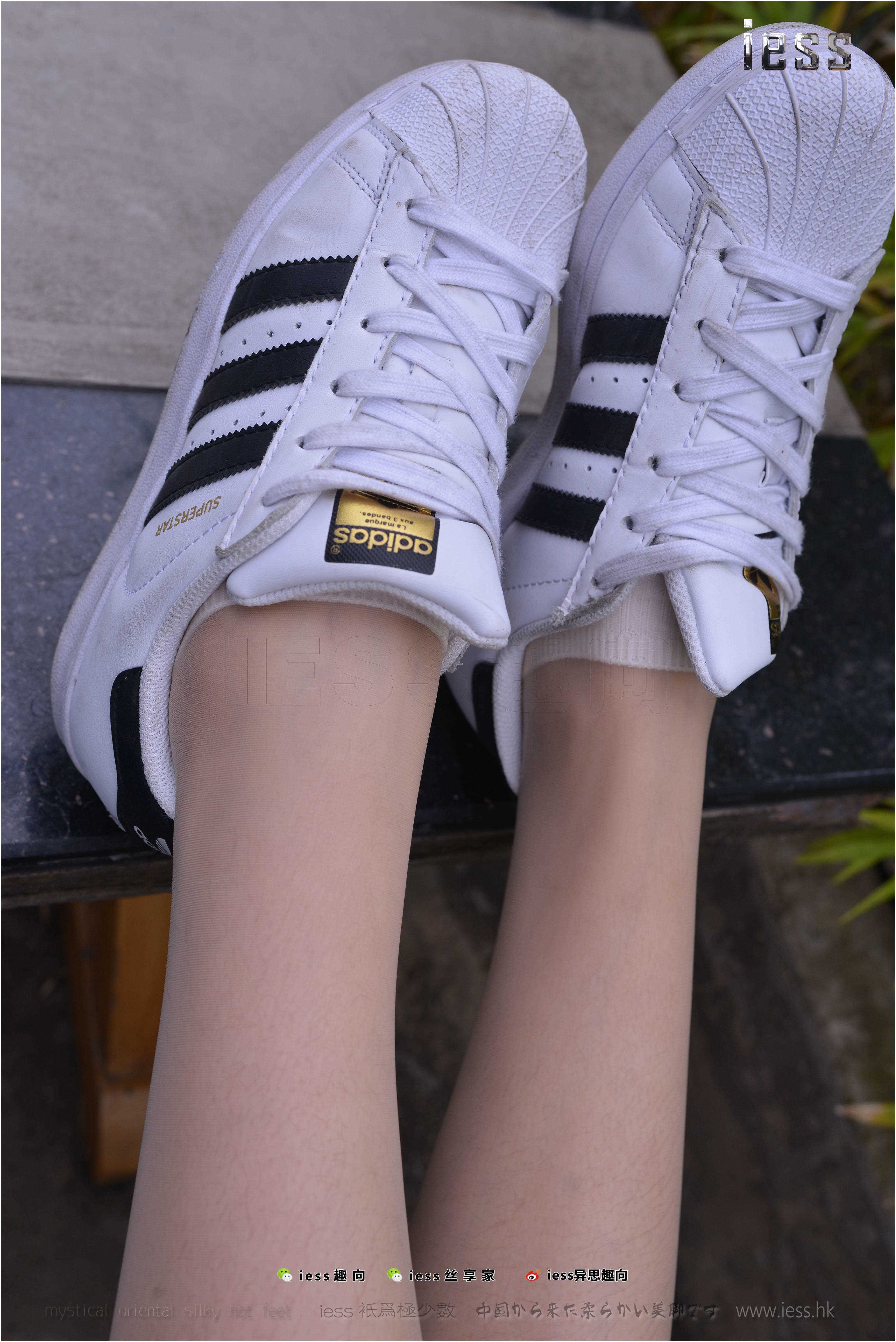 China Beauty Legs and feet 272