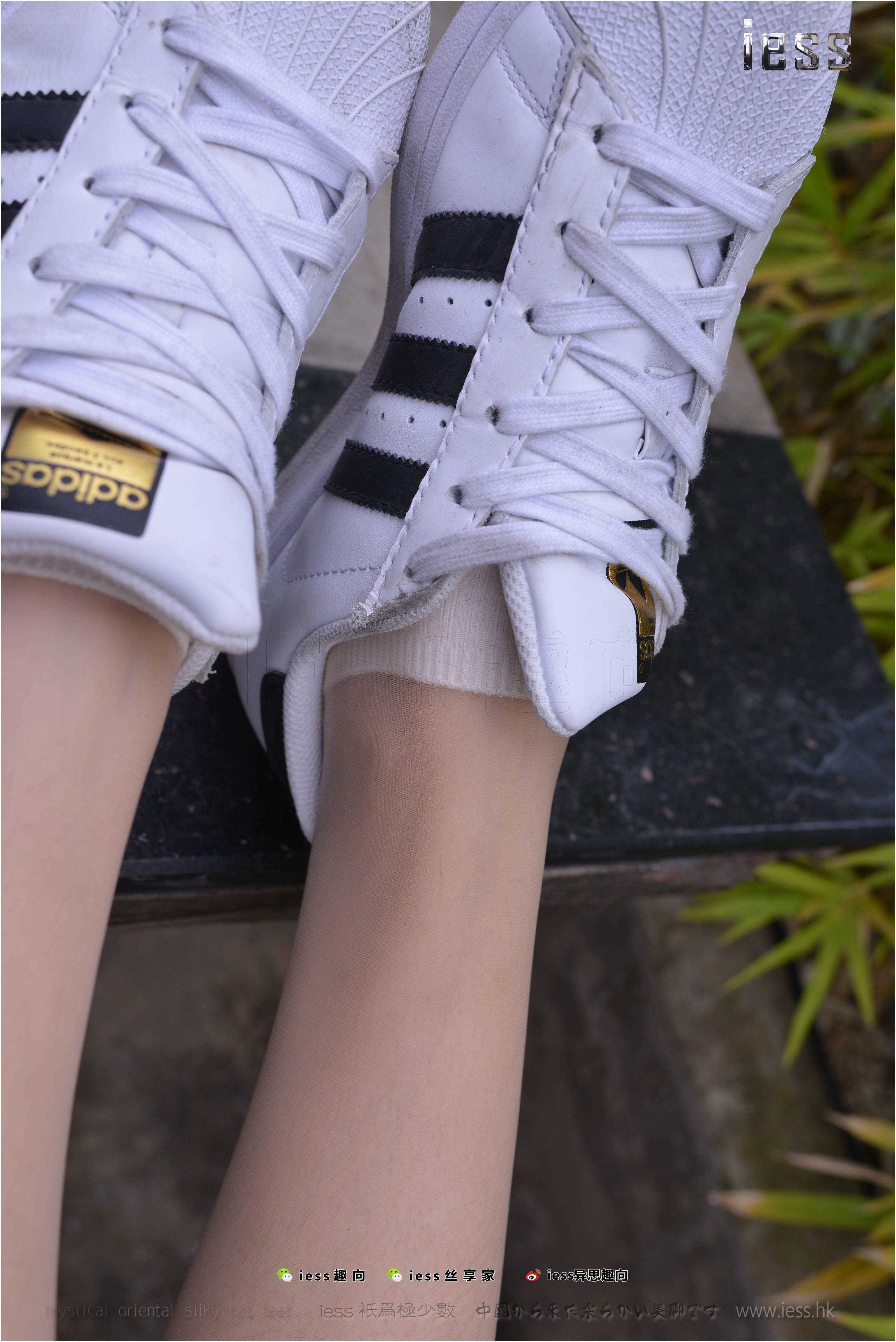 China Beauty Legs and feet 272