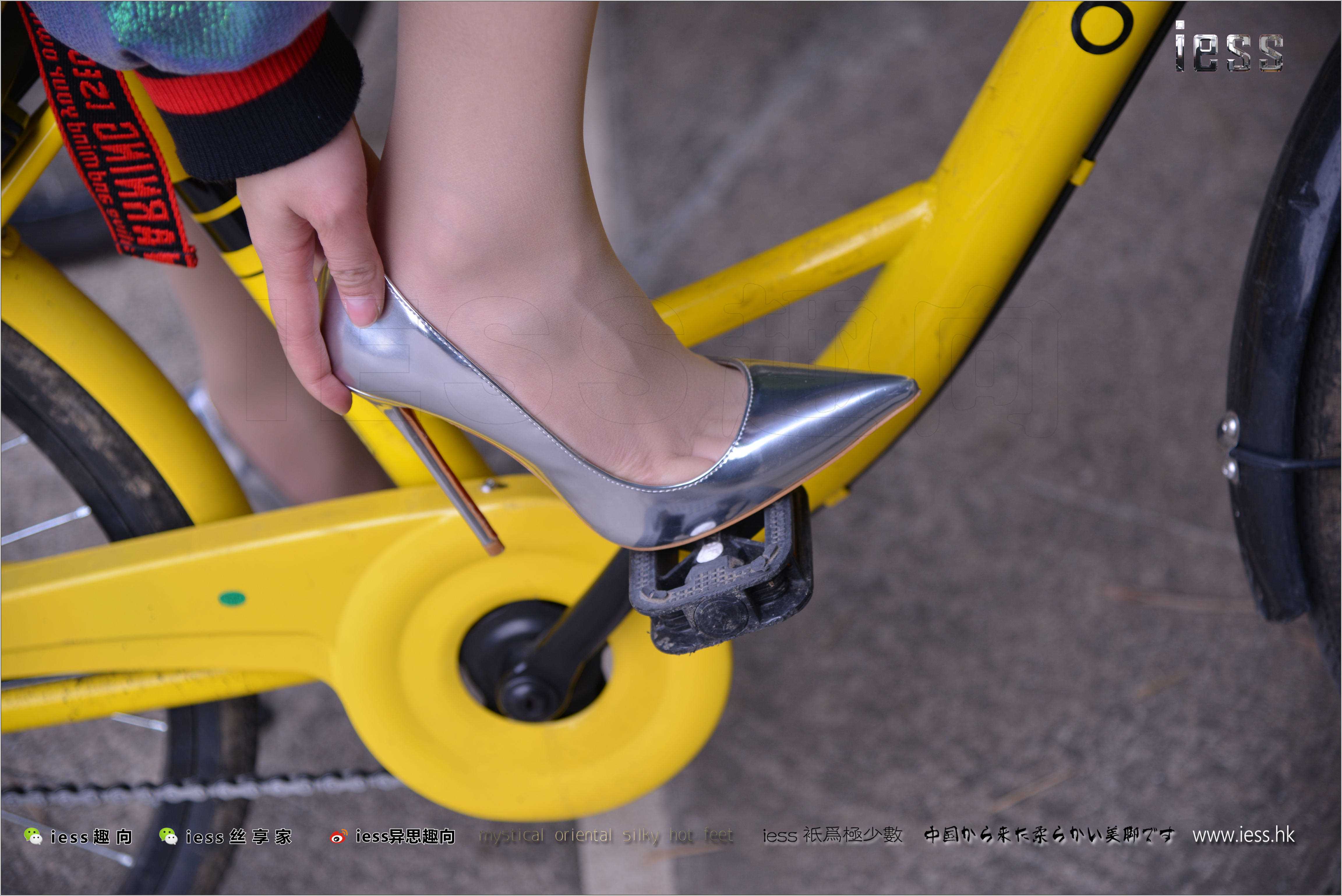 China Beauty Legs and feet 278