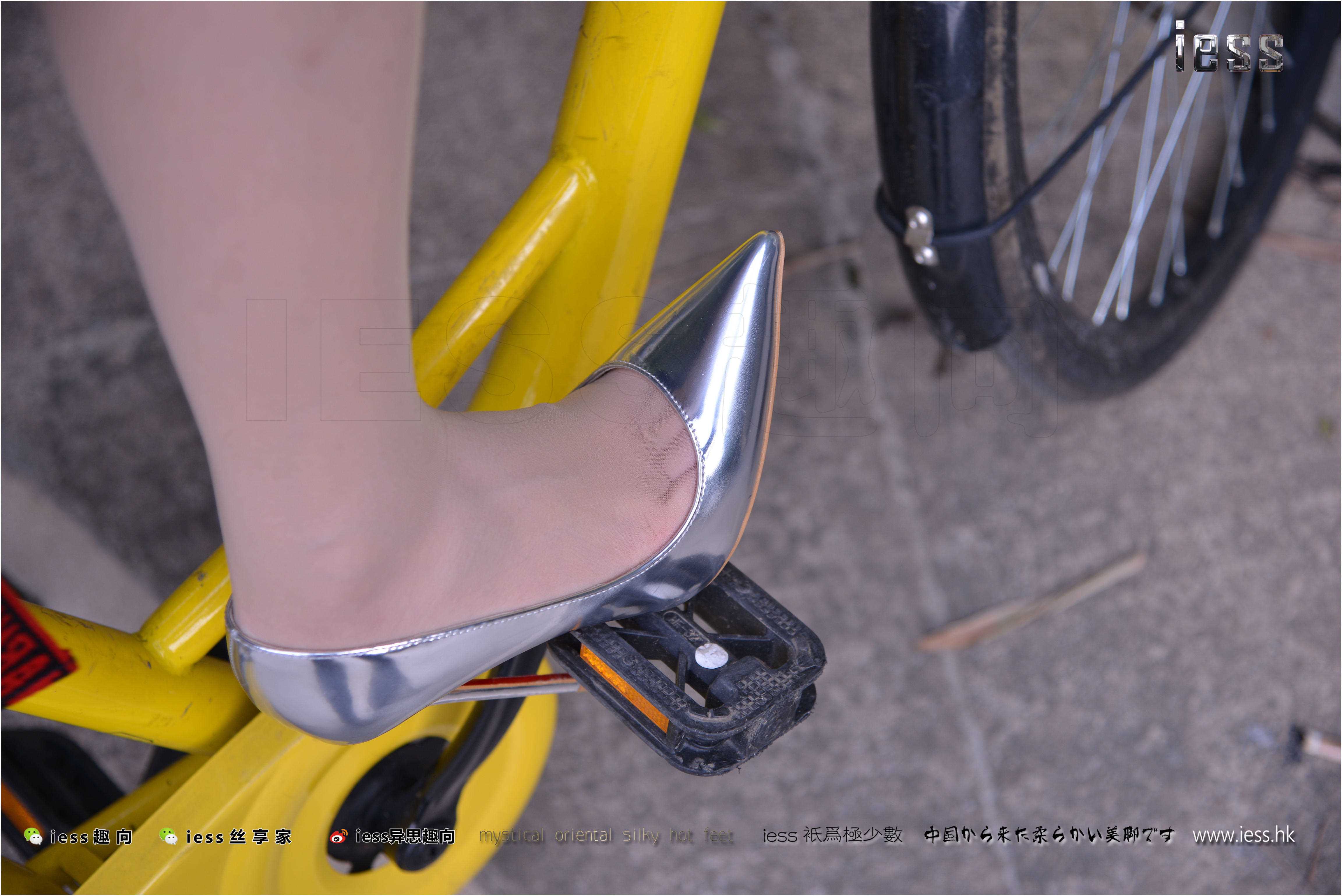 China Beauty Legs and feet 278