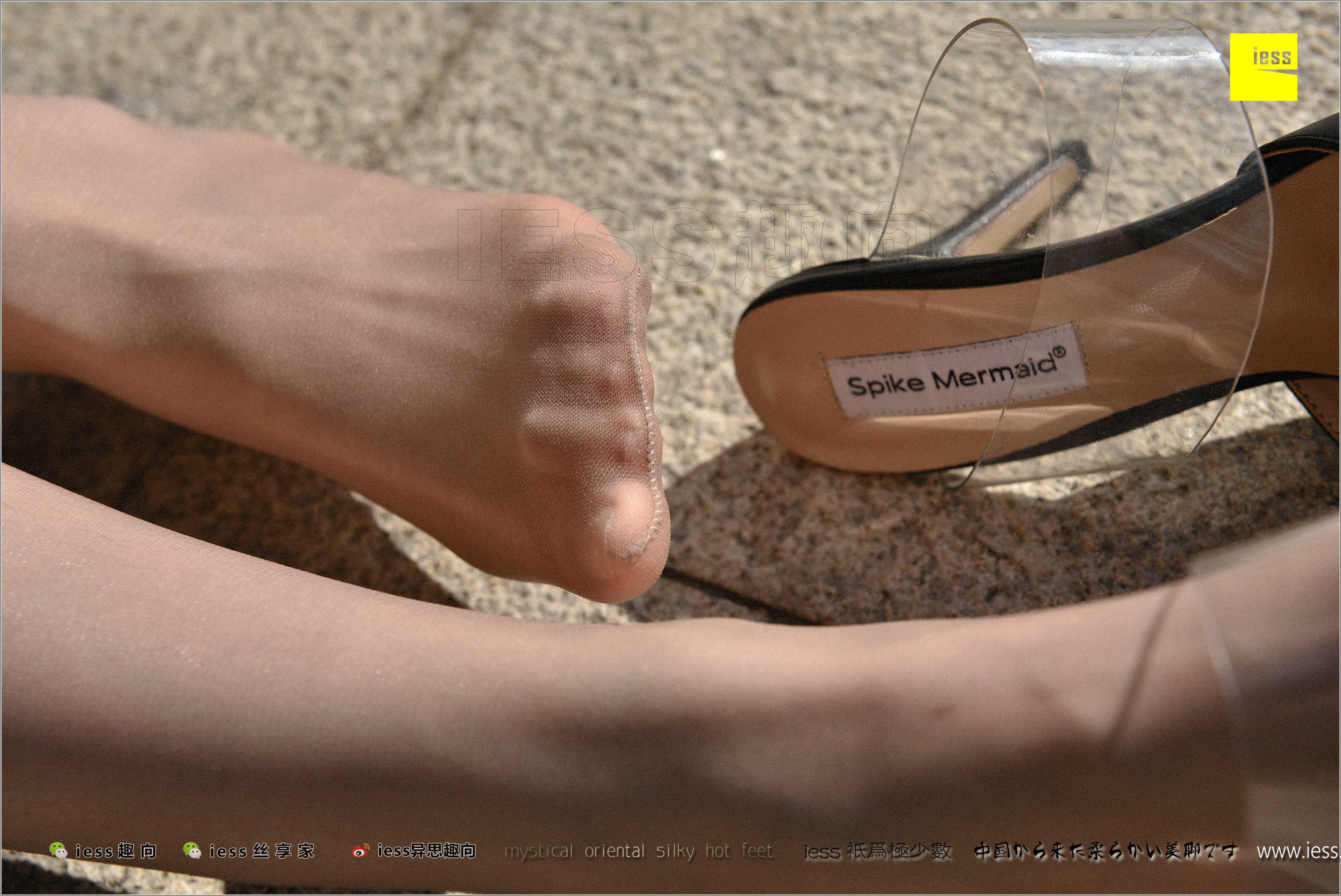 China Beauty Legs and feet 280