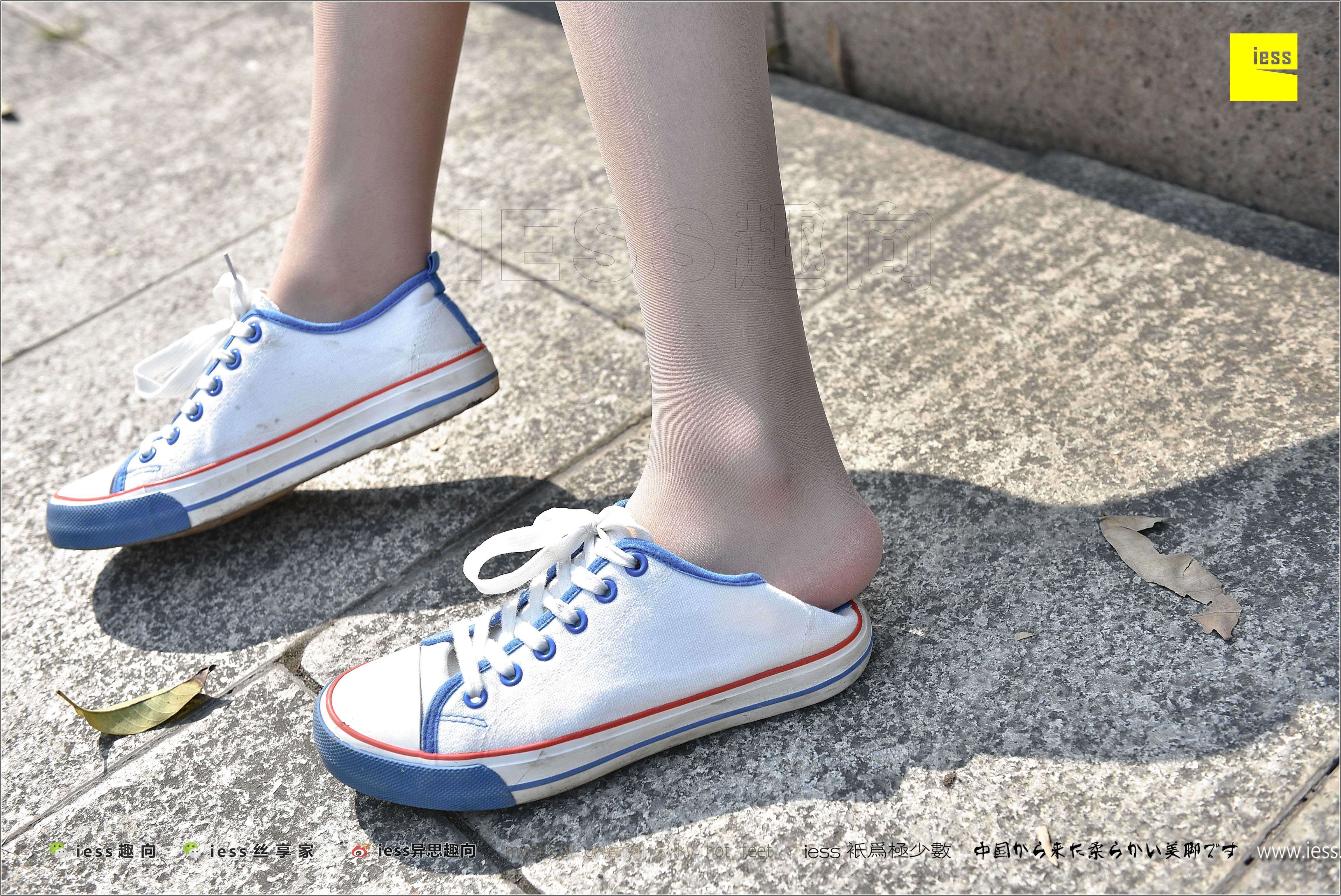 China Beauty Legs and feet 281