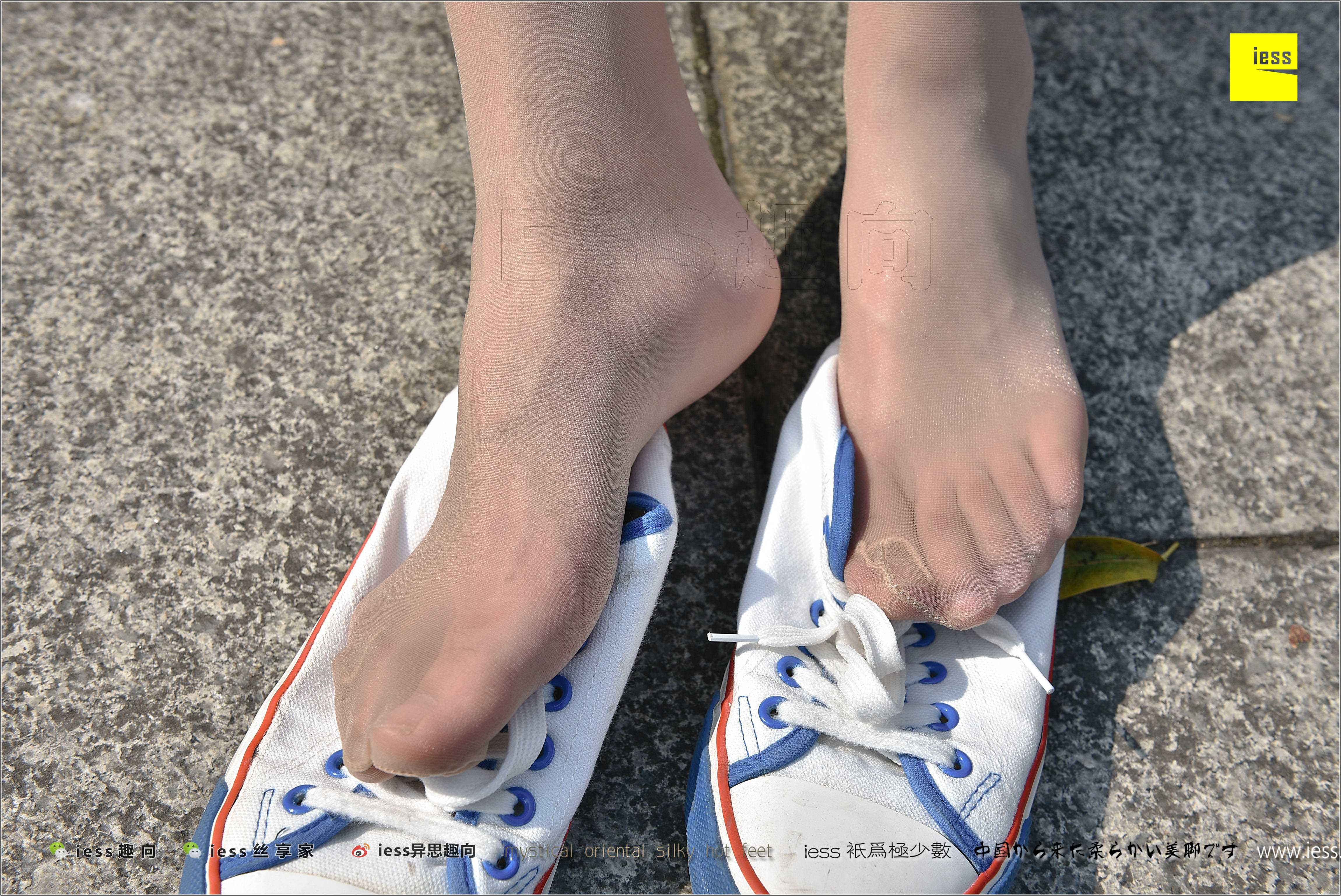 China Beauty Legs and feet 281