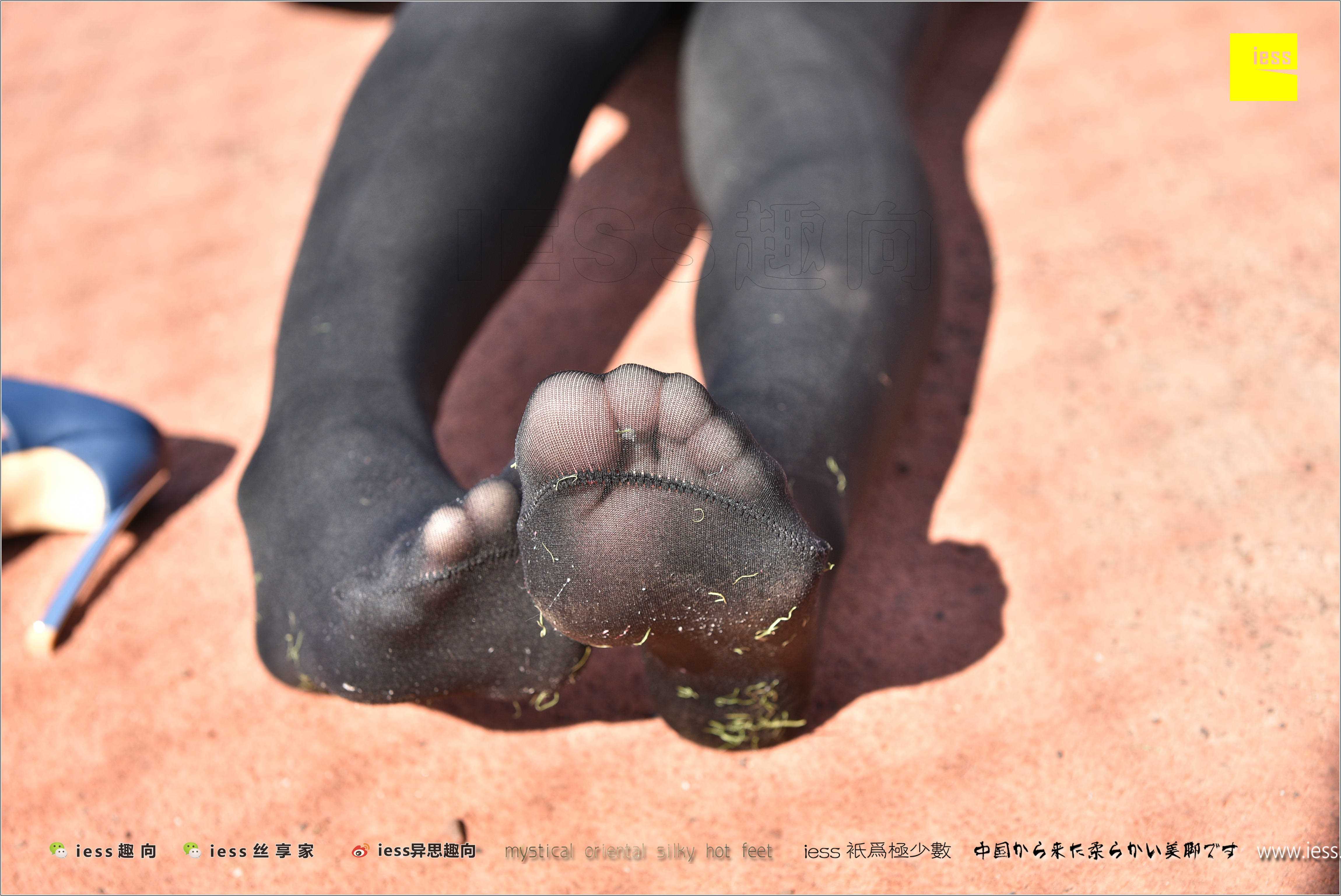 China Beauty Legs and feet 282