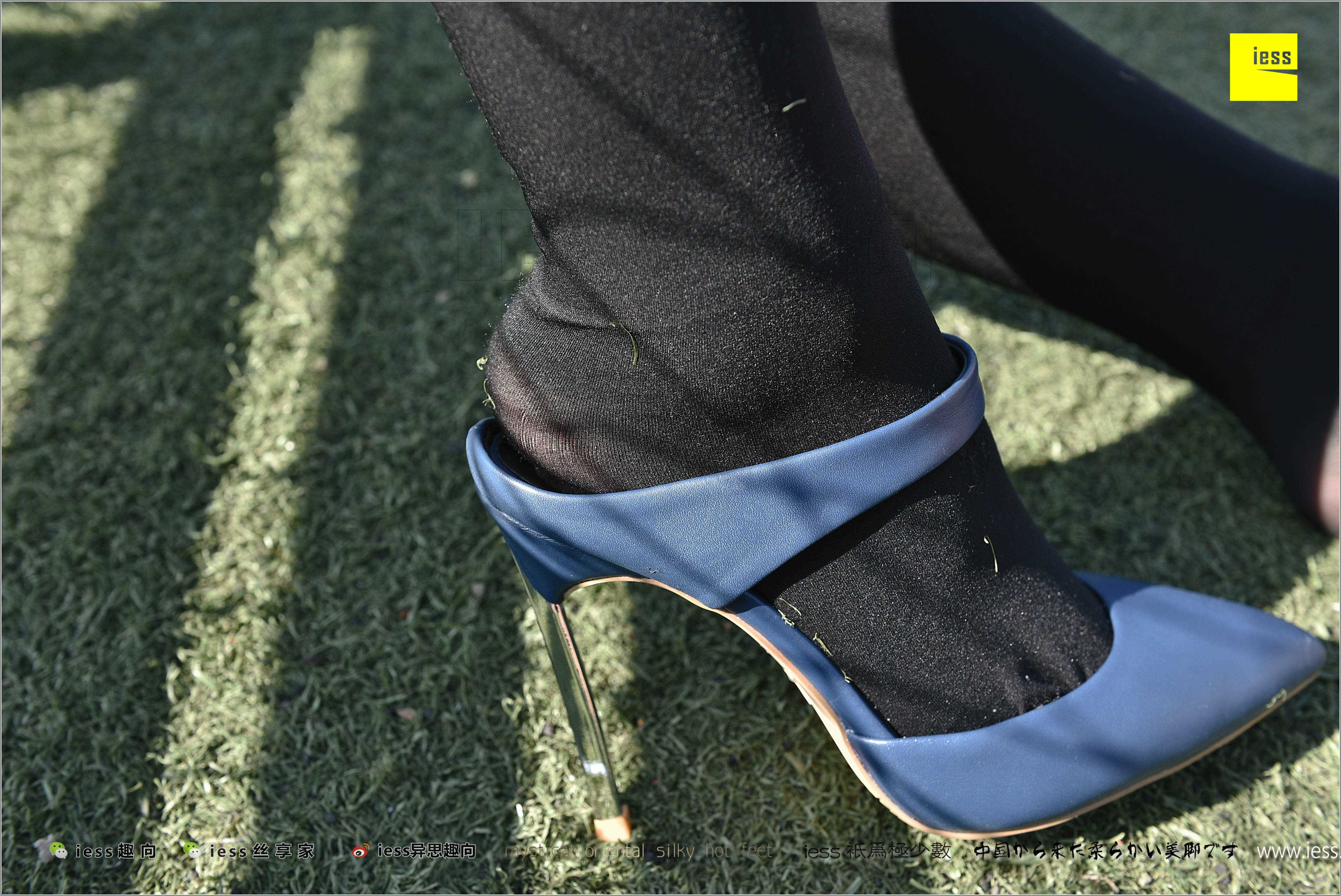 China Beauty Legs and feet 282