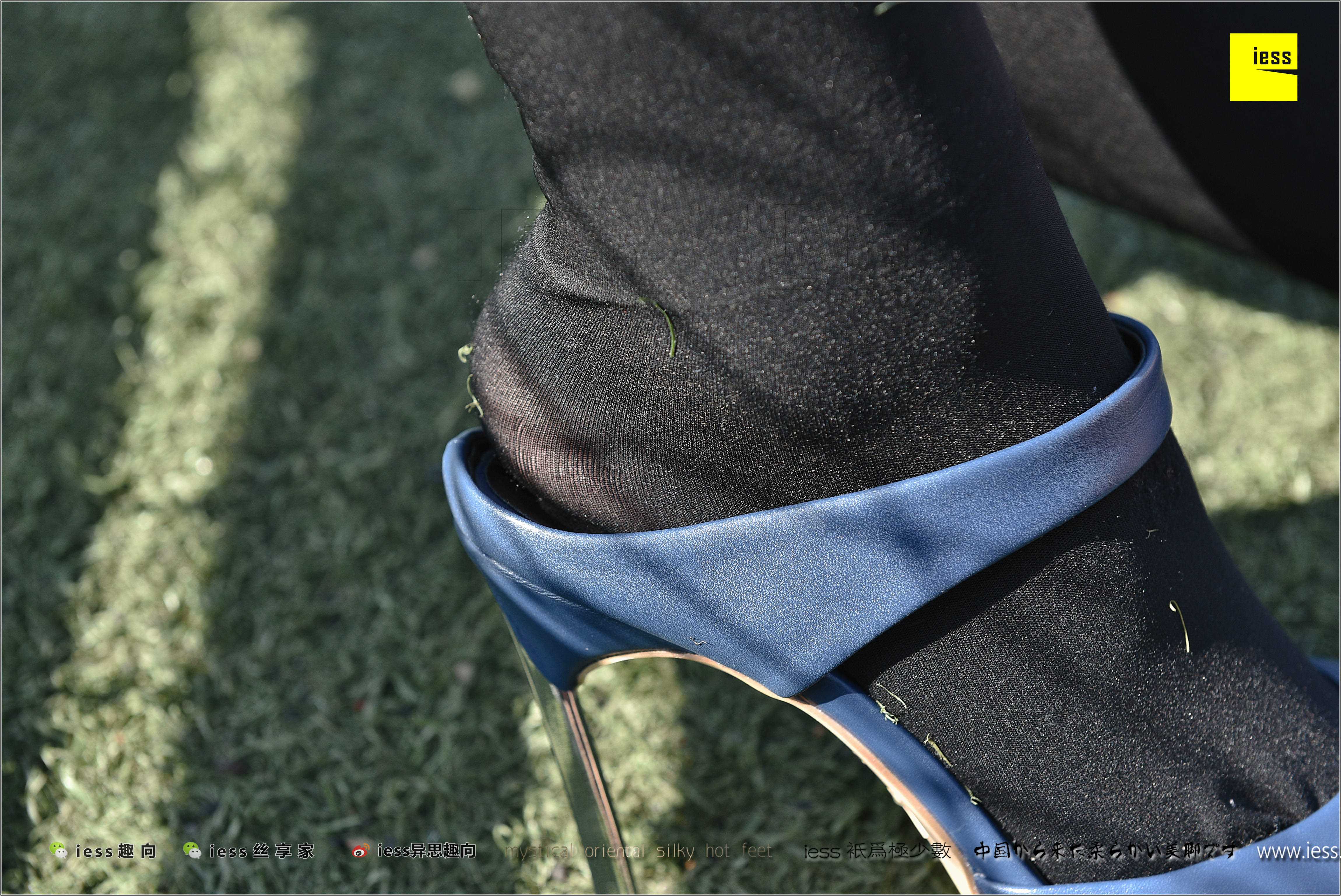 China Beauty Legs and feet 282