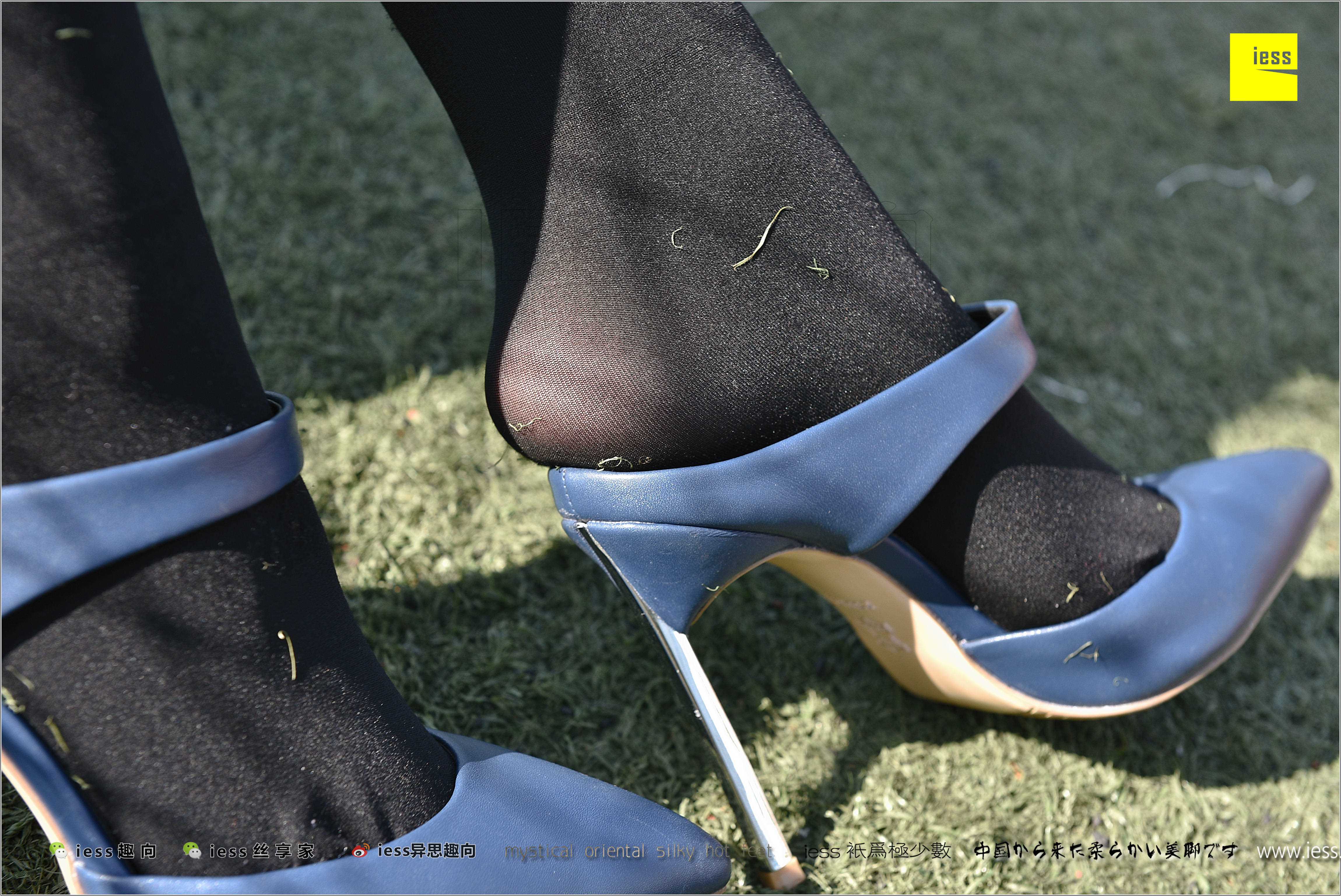 China Beauty Legs and feet 282