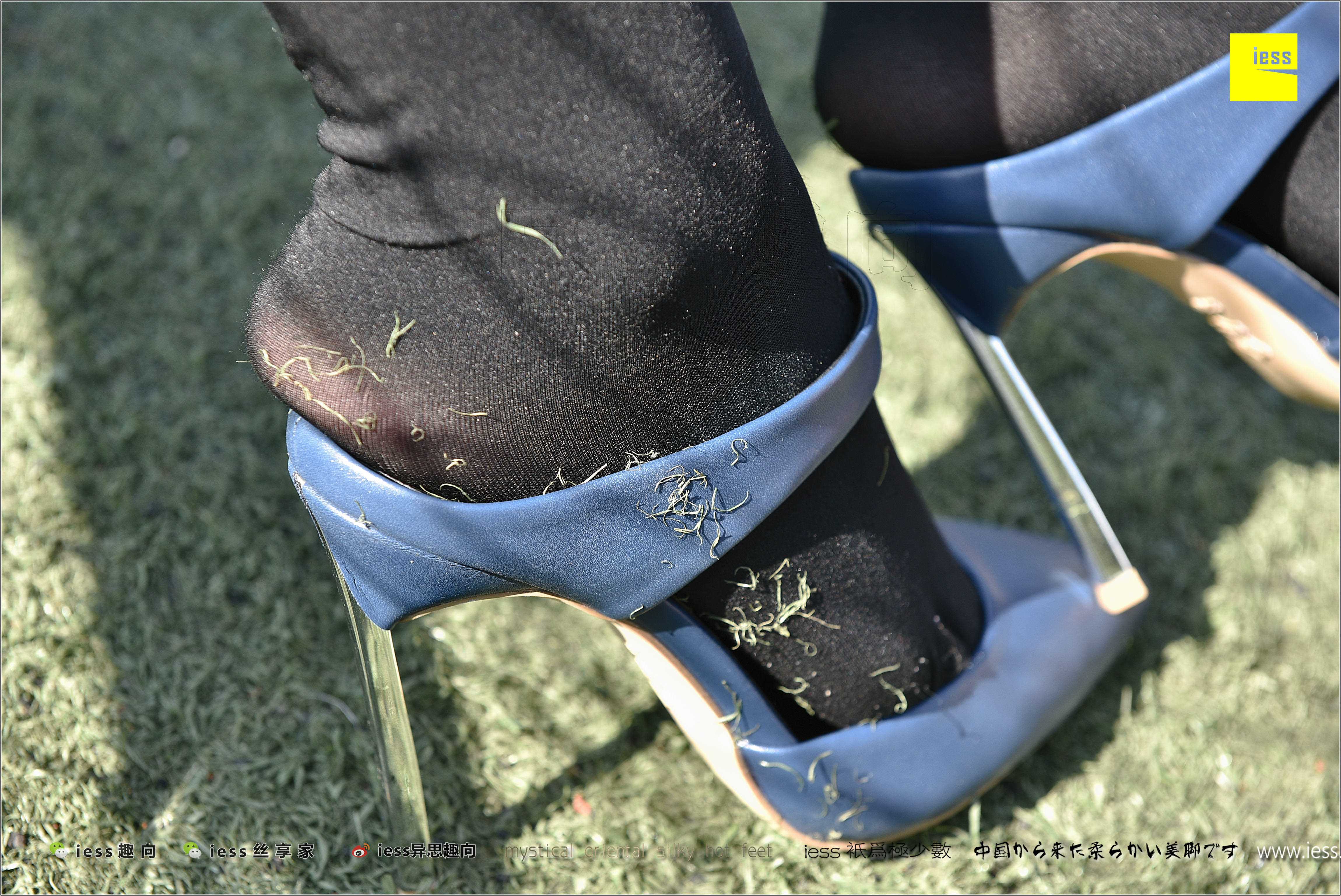 China Beauty Legs and feet 282