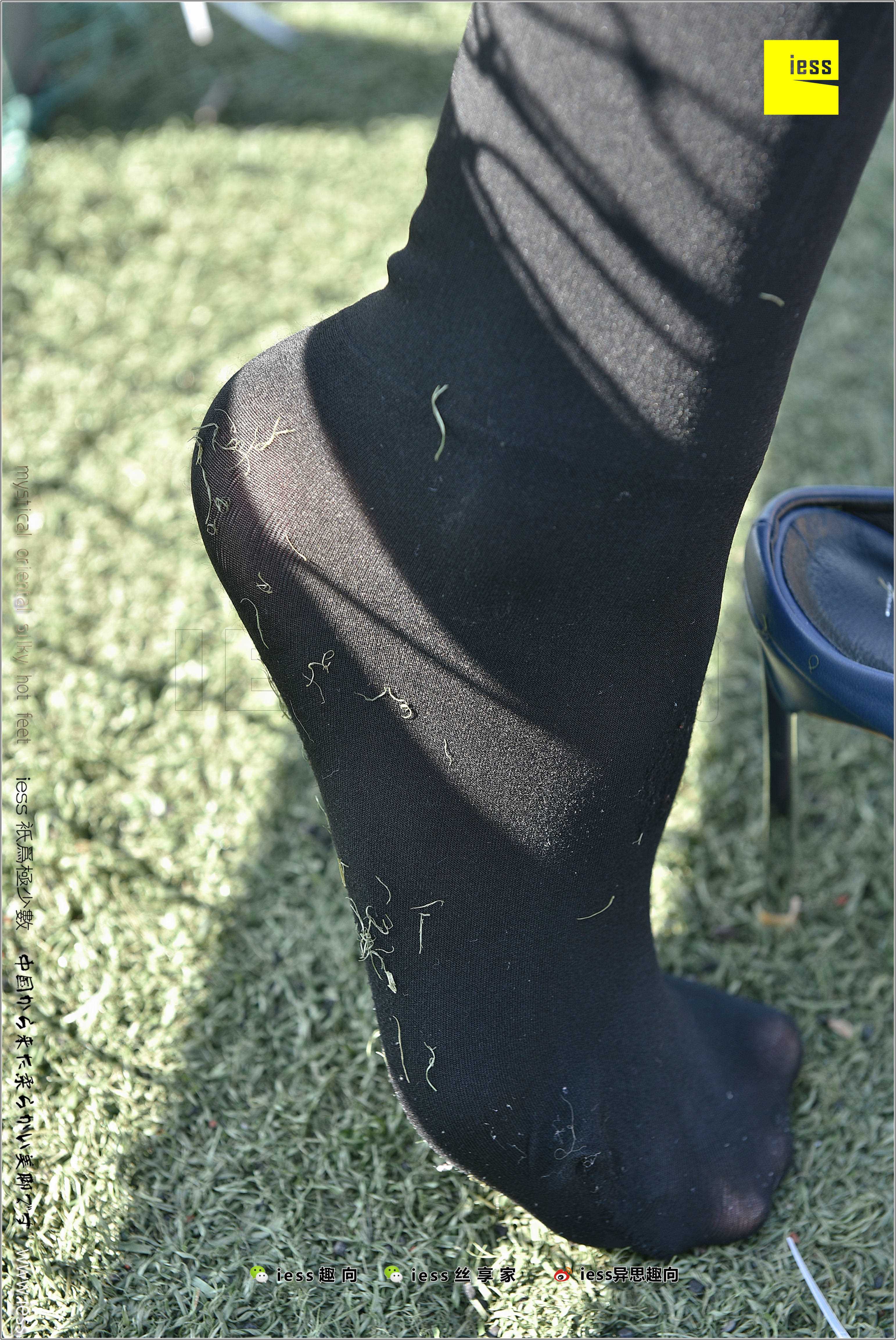 China Beauty Legs and feet 282