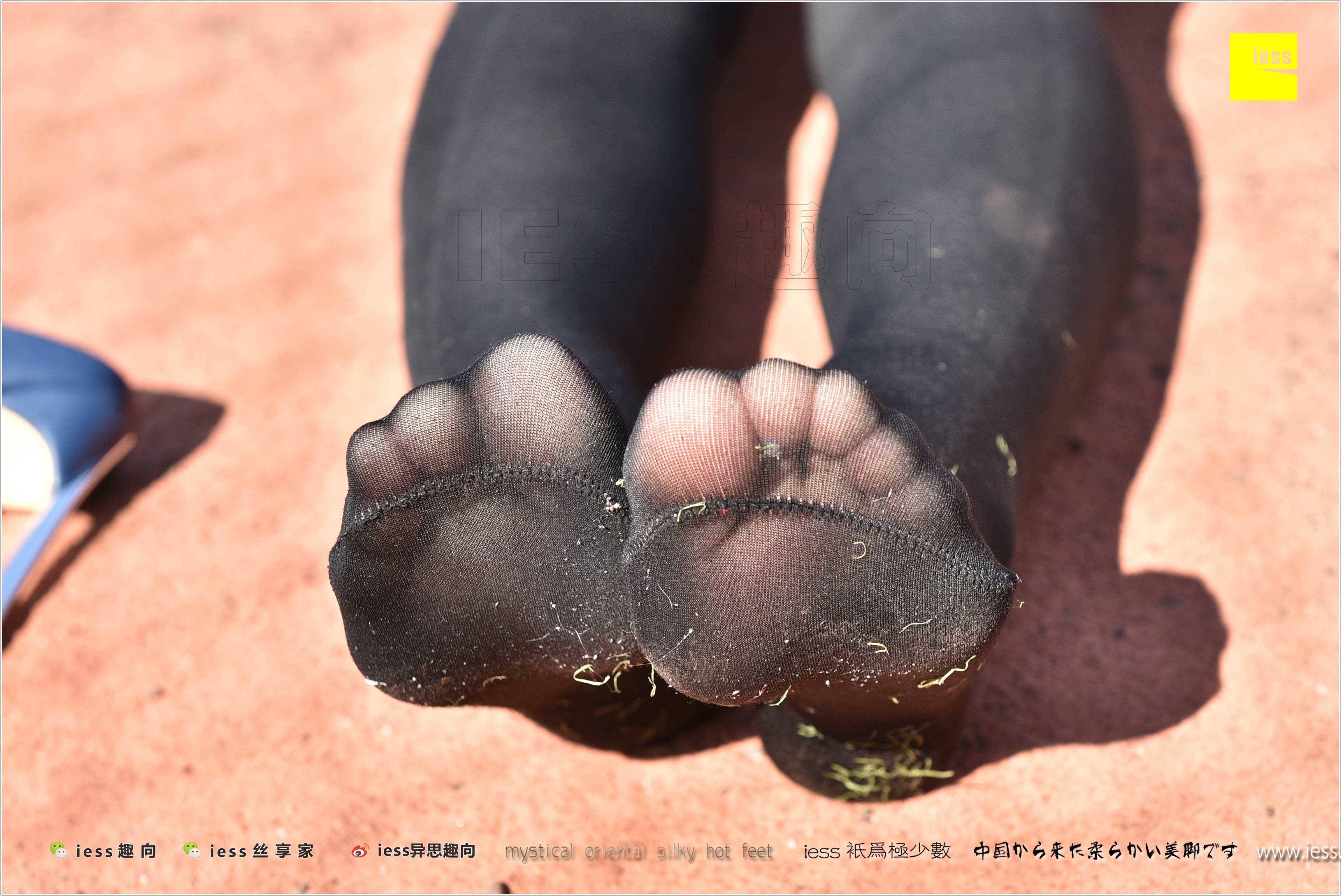 China Beauty Legs and feet 282