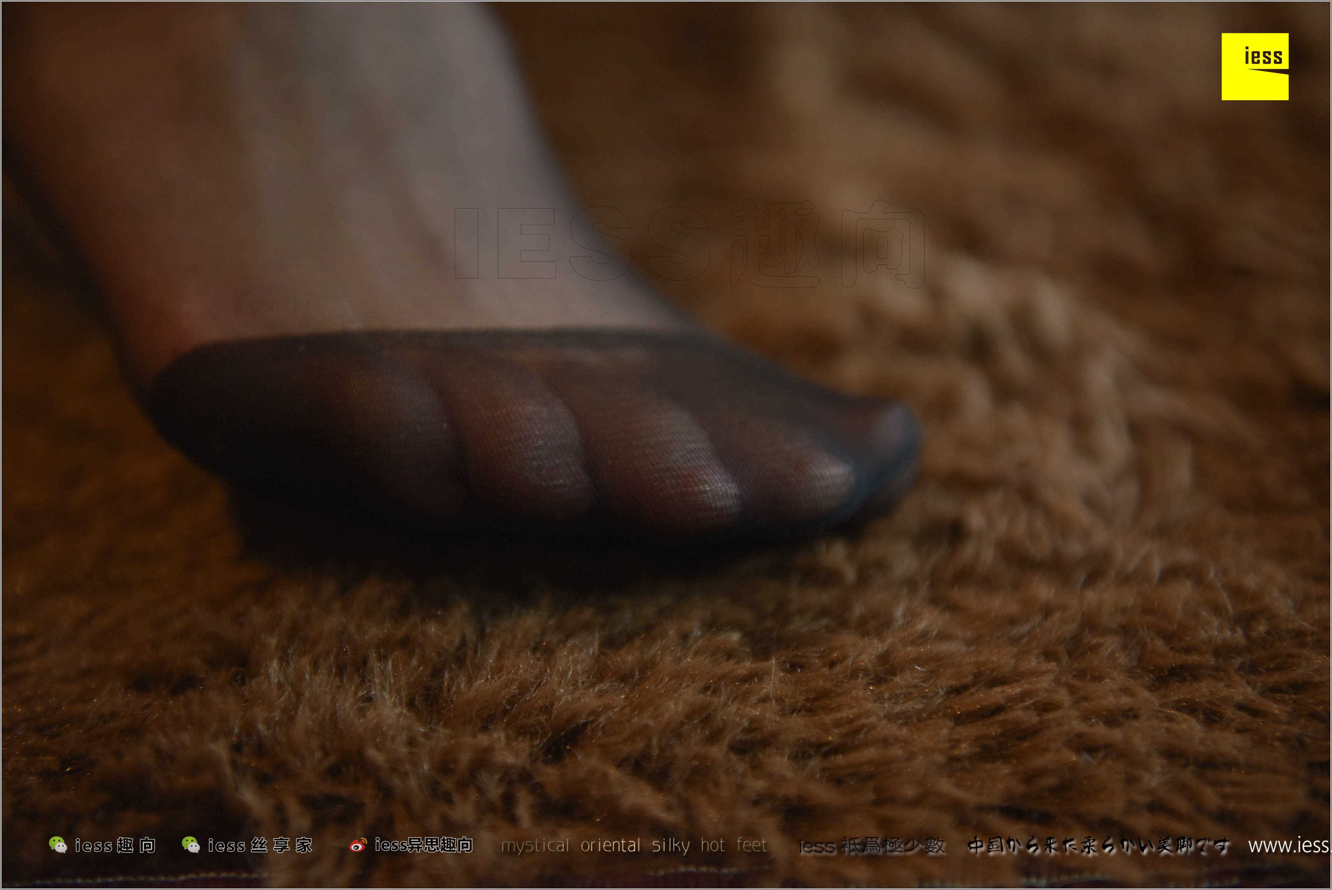 China Beauty Legs and feet 283