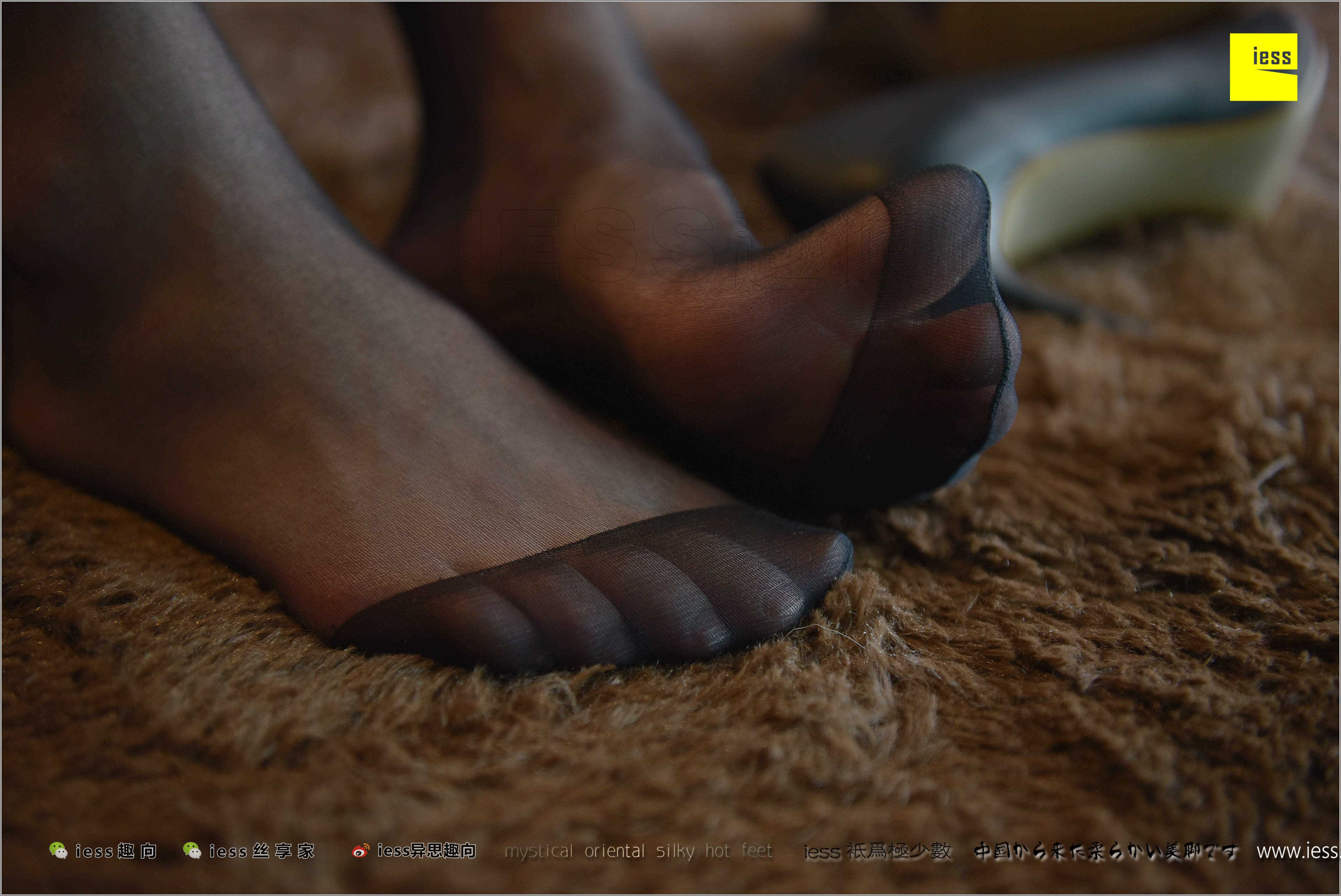 China Beauty Legs and feet 283