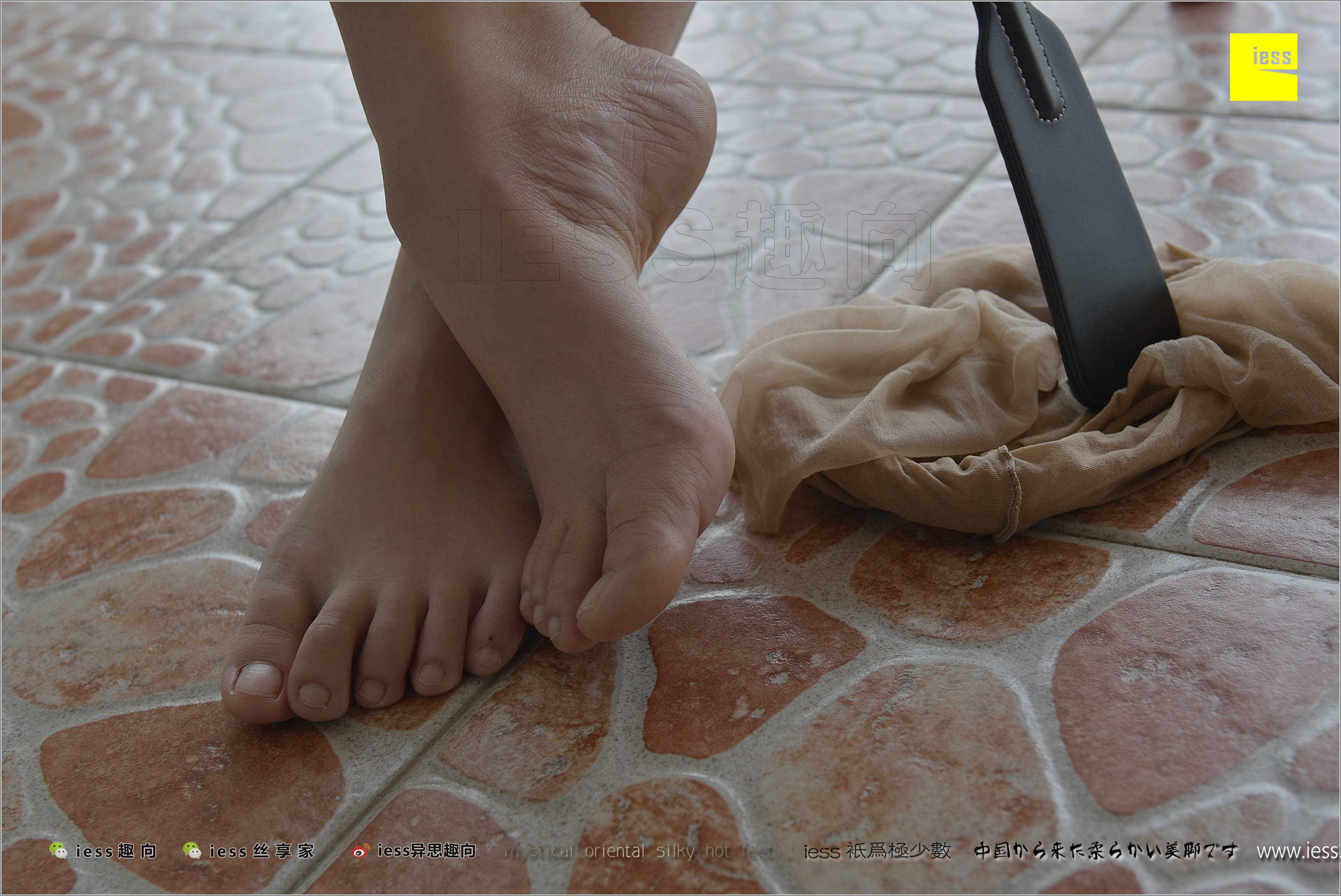 China Beauty Legs and feet 284