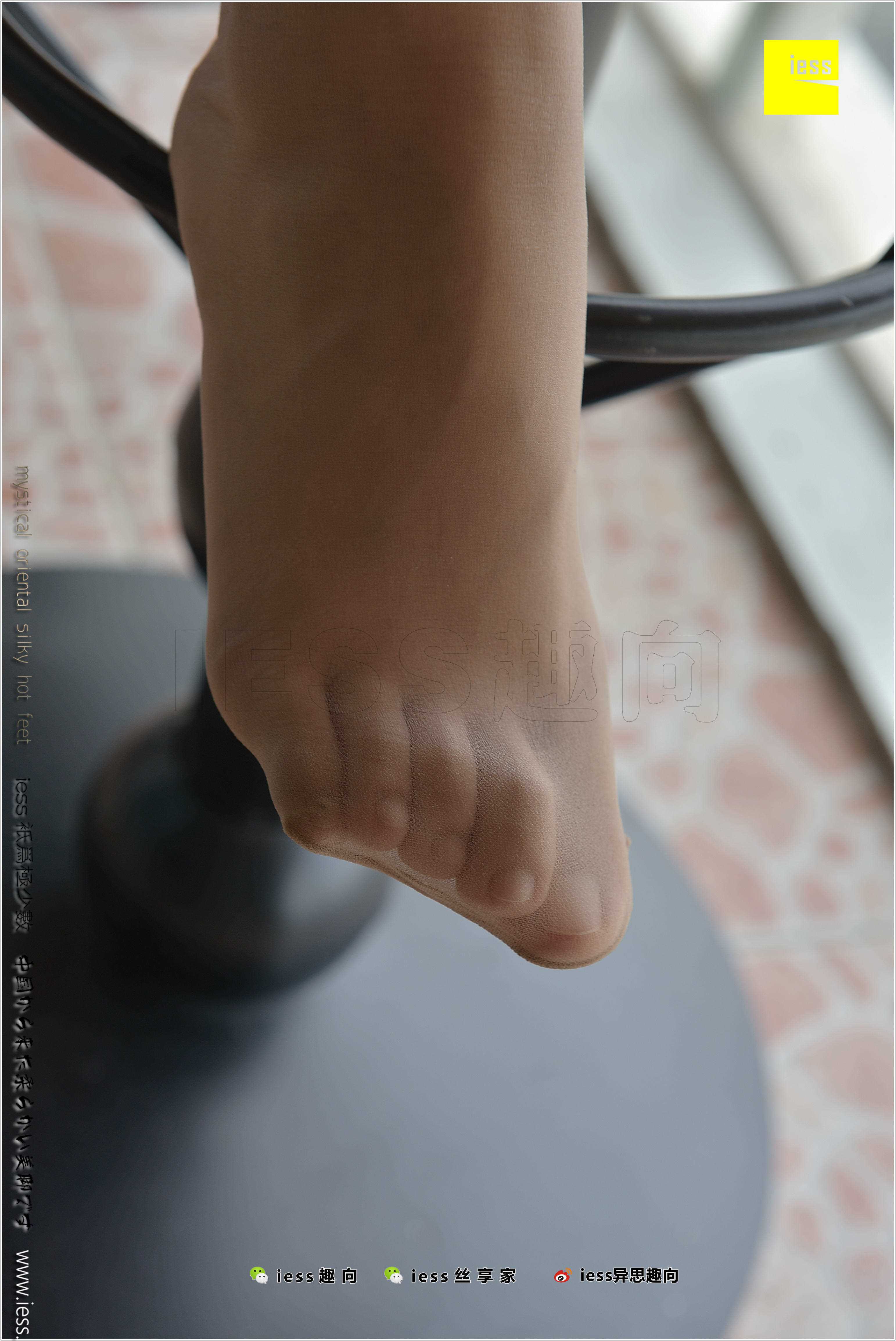 China Beauty Legs and feet 284