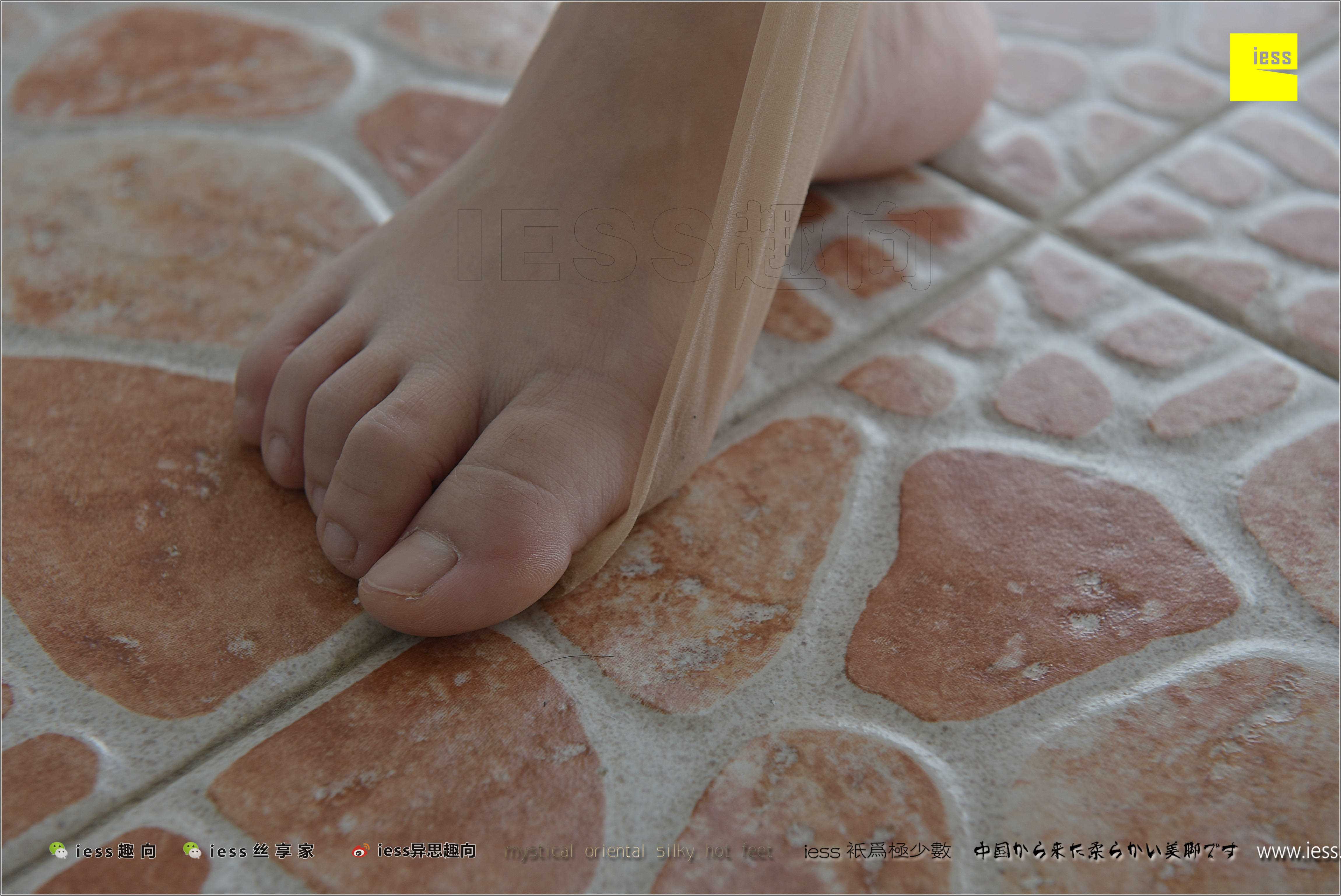 China Beauty Legs and feet 284