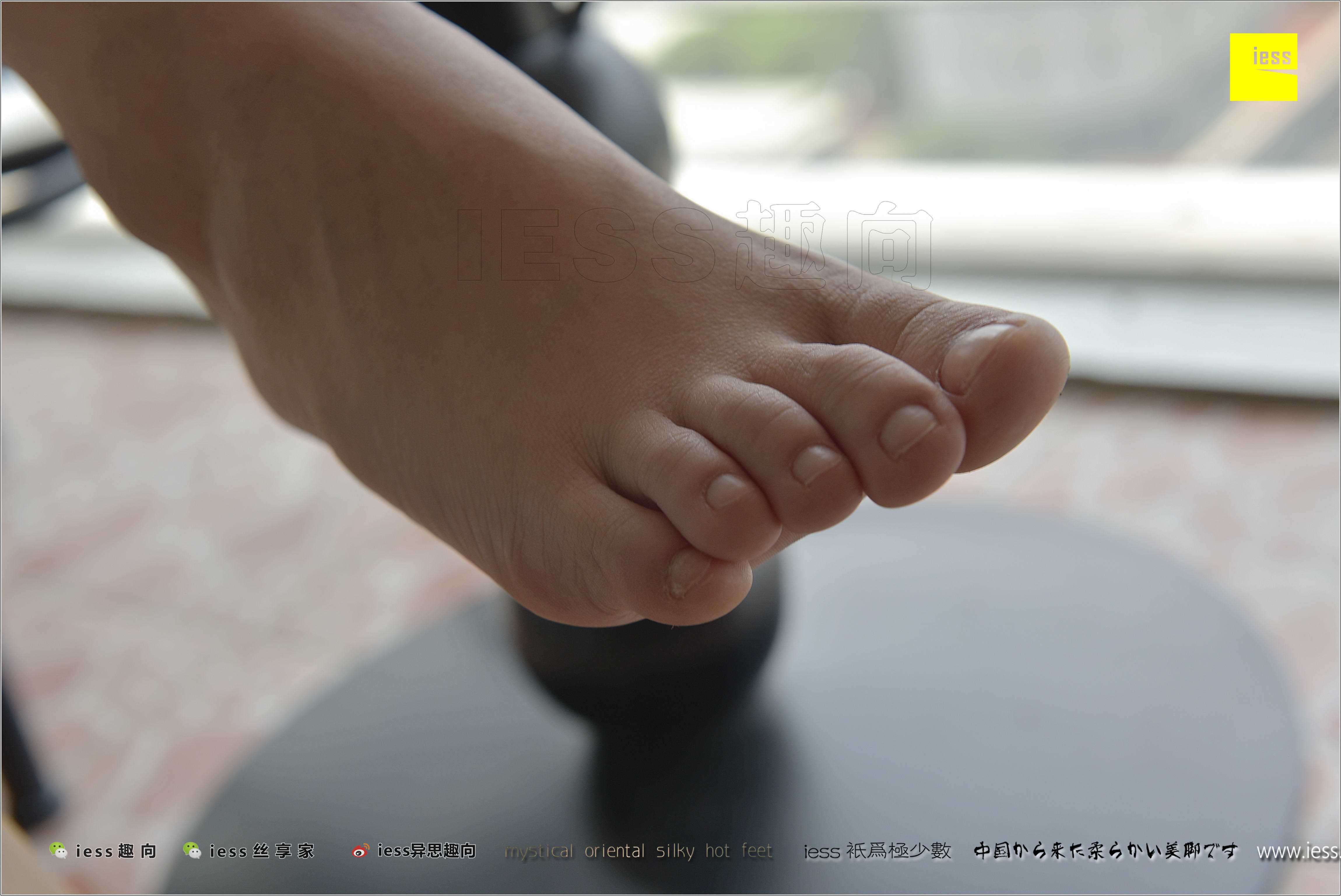 China Beauty Legs and feet 284