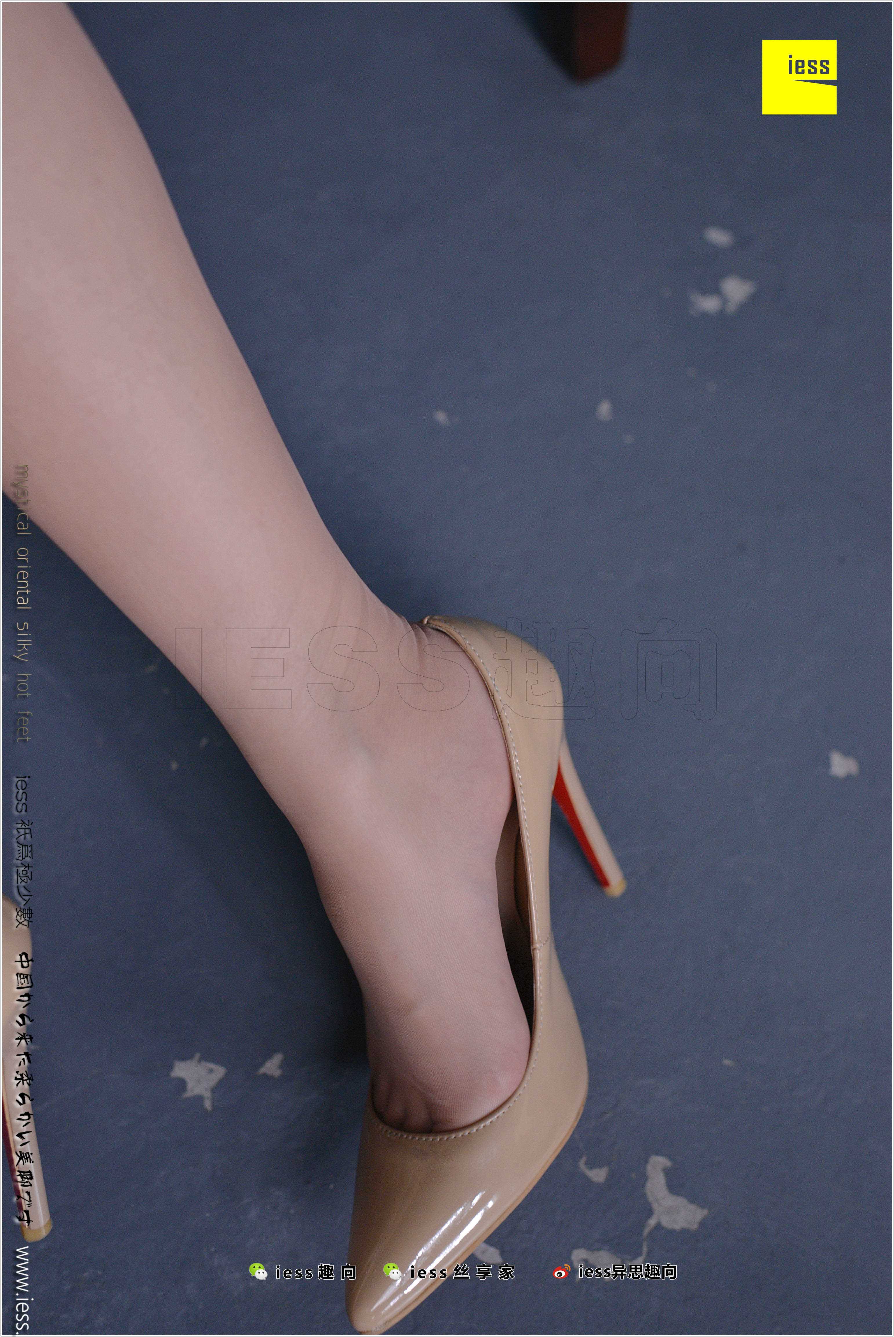 China Beauty Legs and feet 286