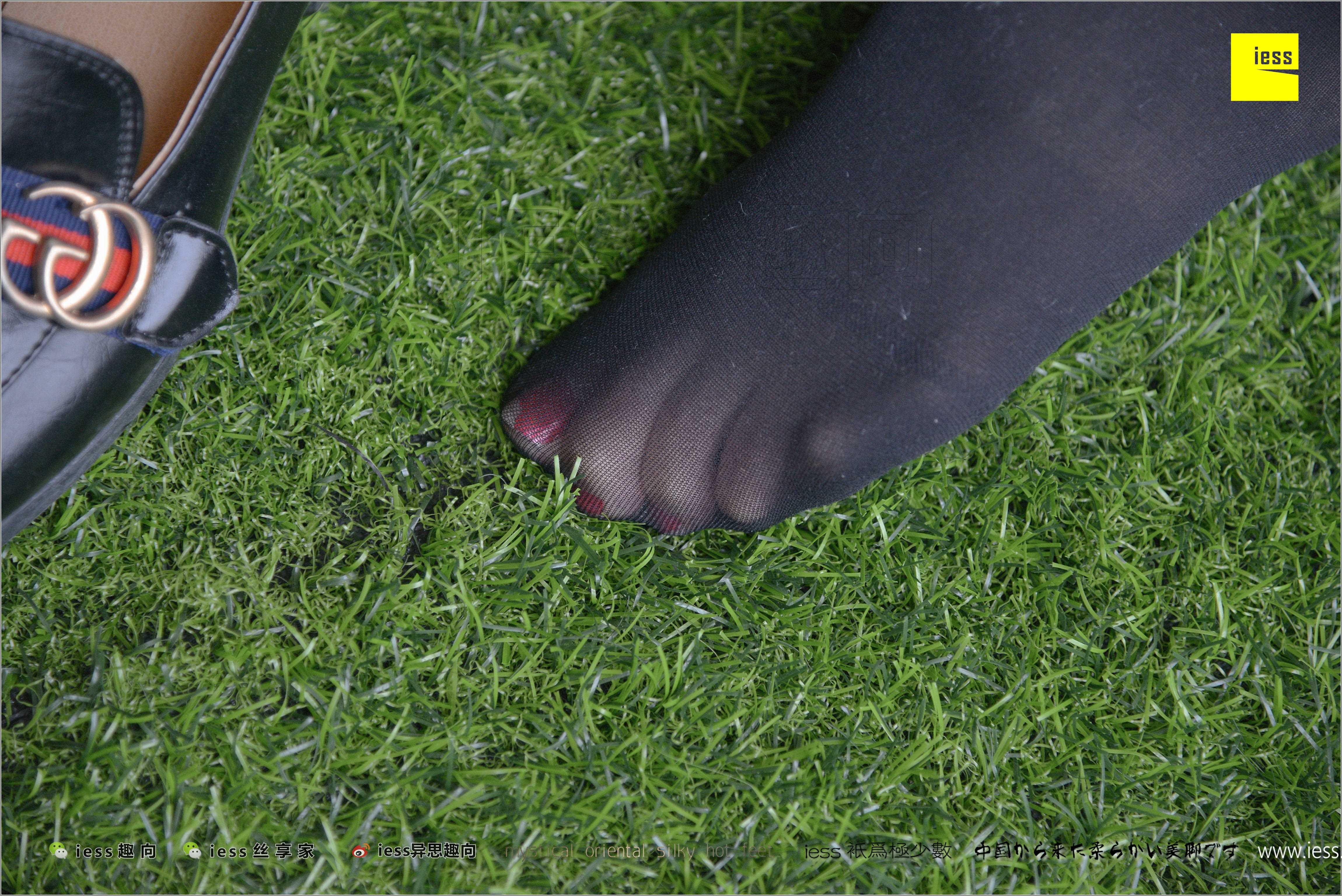 China Beauty Legs and feet 287