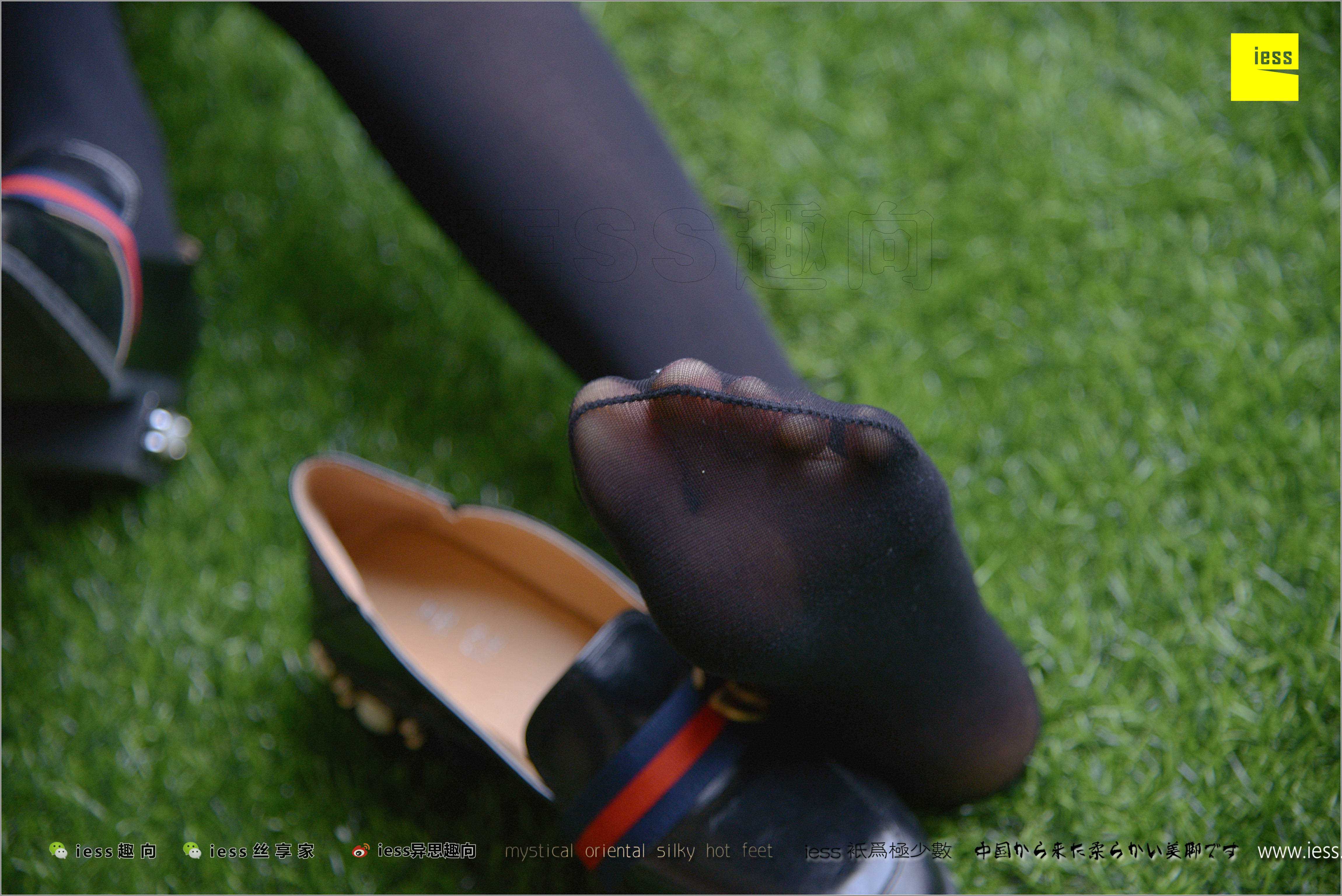 China Beauty Legs and feet 287