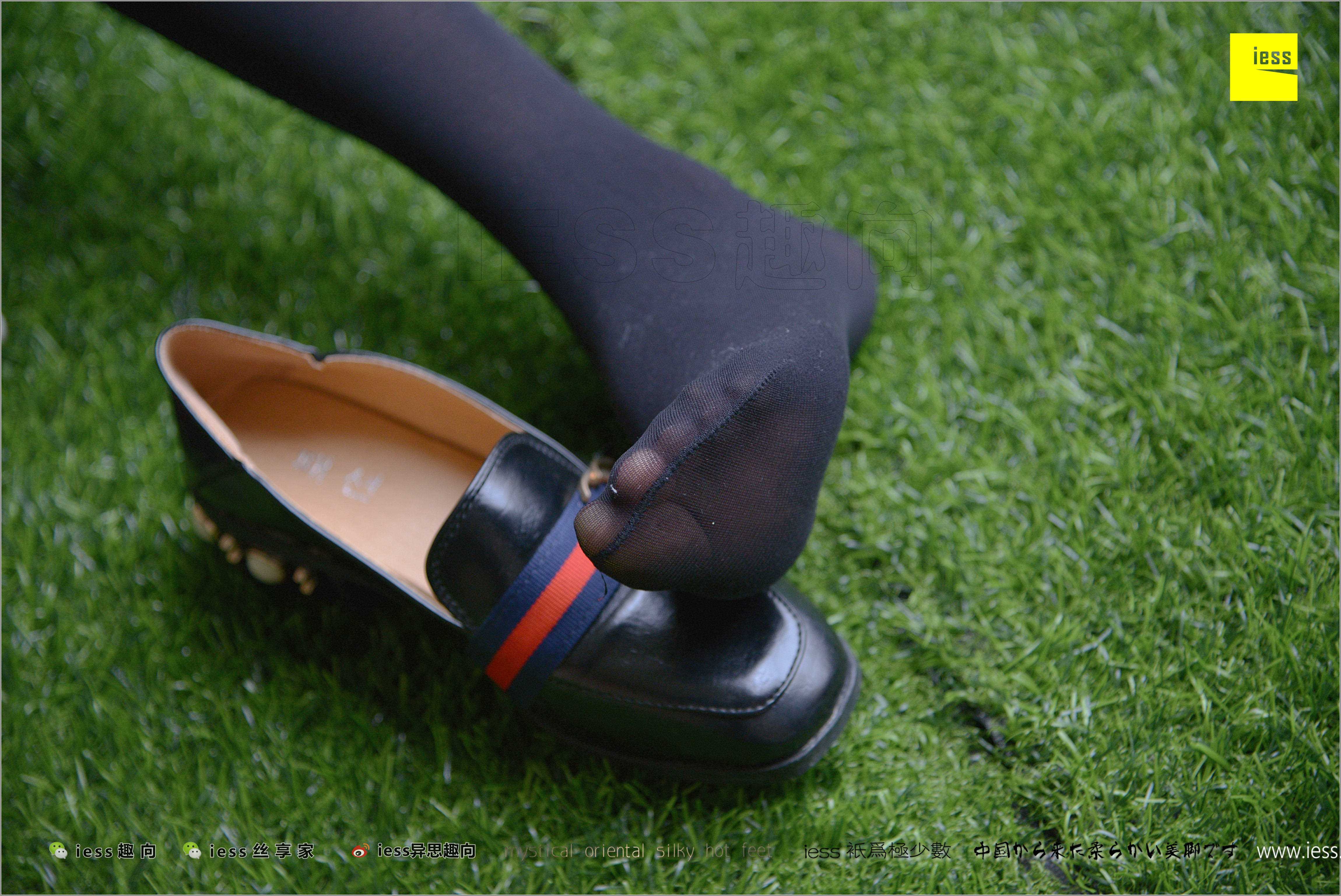 China Beauty Legs and feet 287