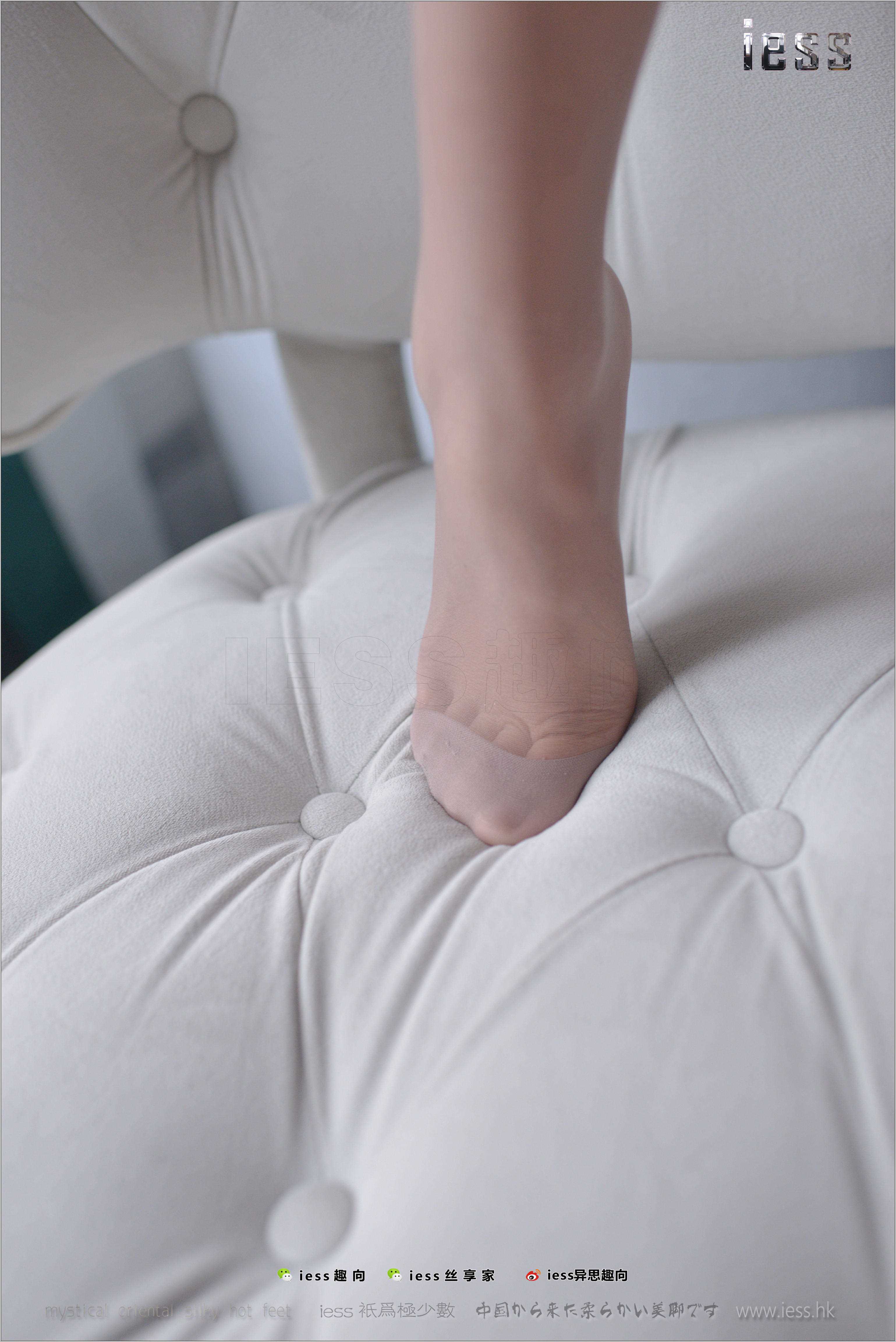 China Beauty Legs and feet 288