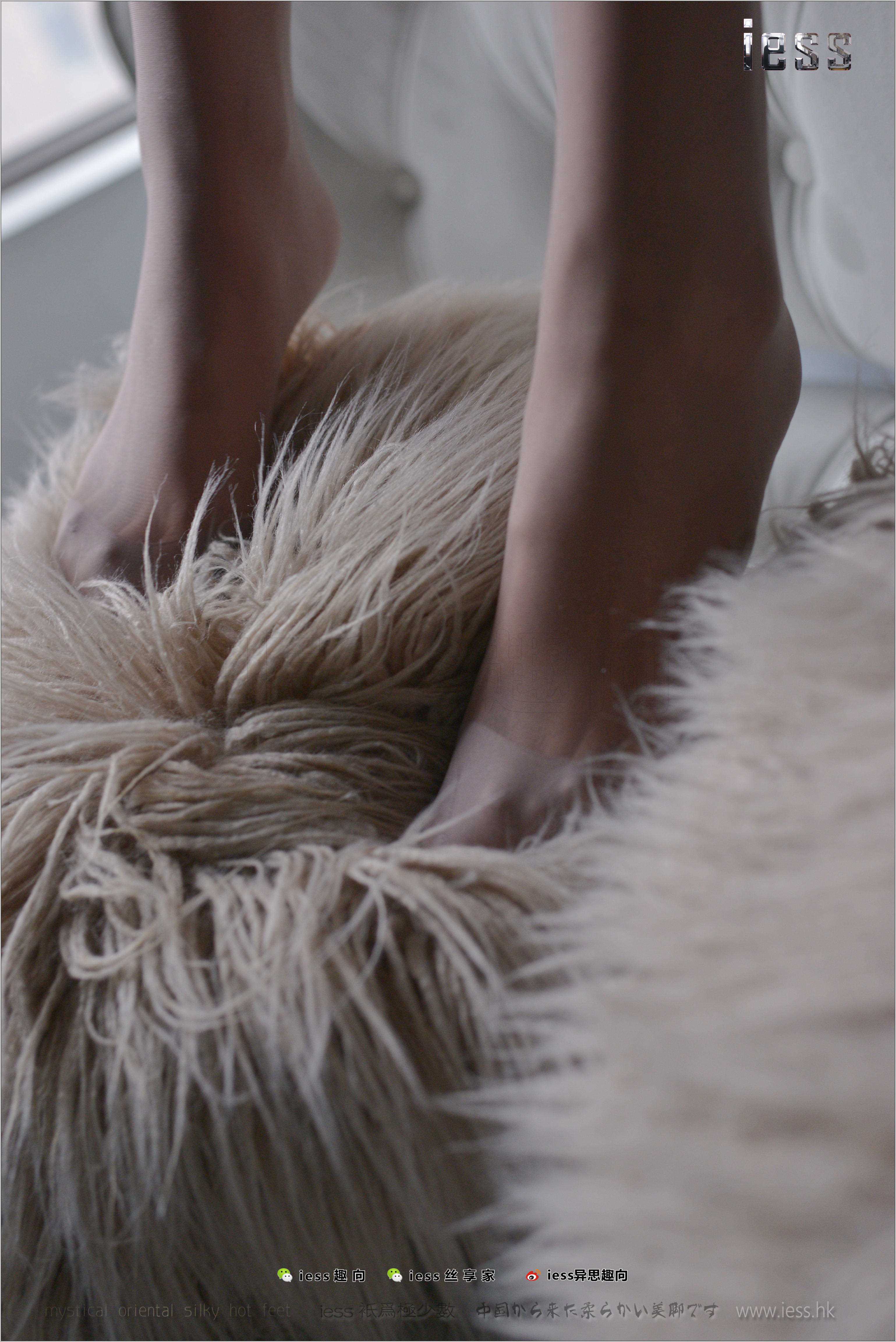 China Beauty Legs and feet 288