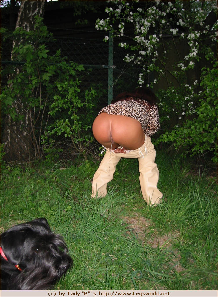 Ich Erika Barbara Lady B Legsworld