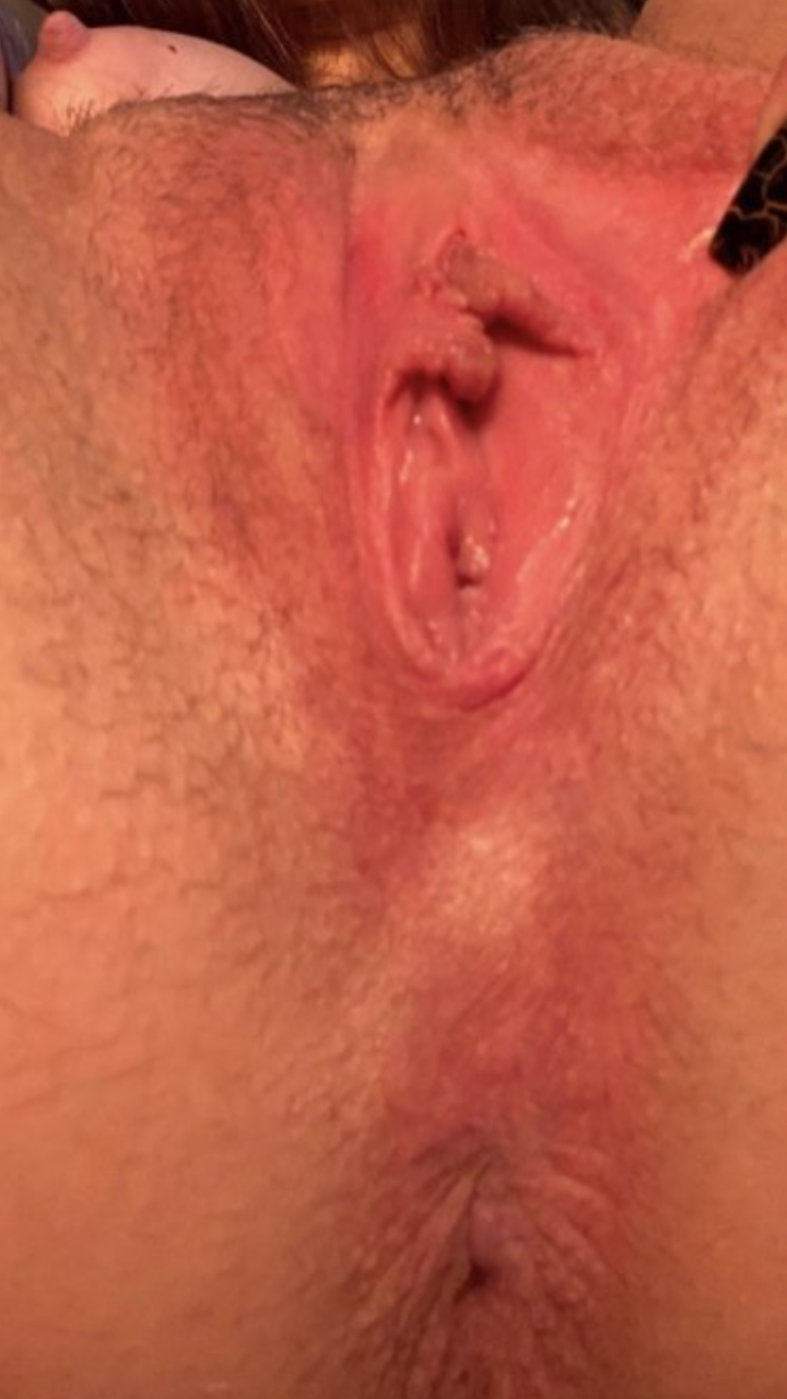 The Pussy Files (2024)