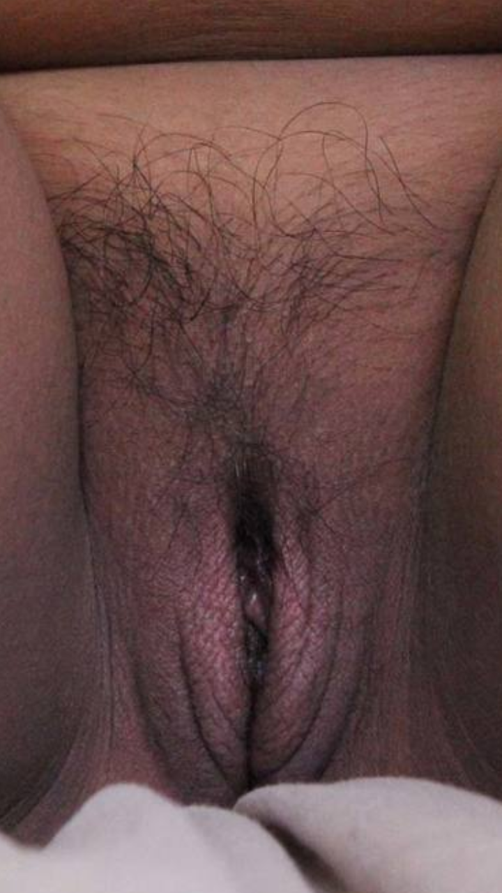 The Pussy Files (2024)