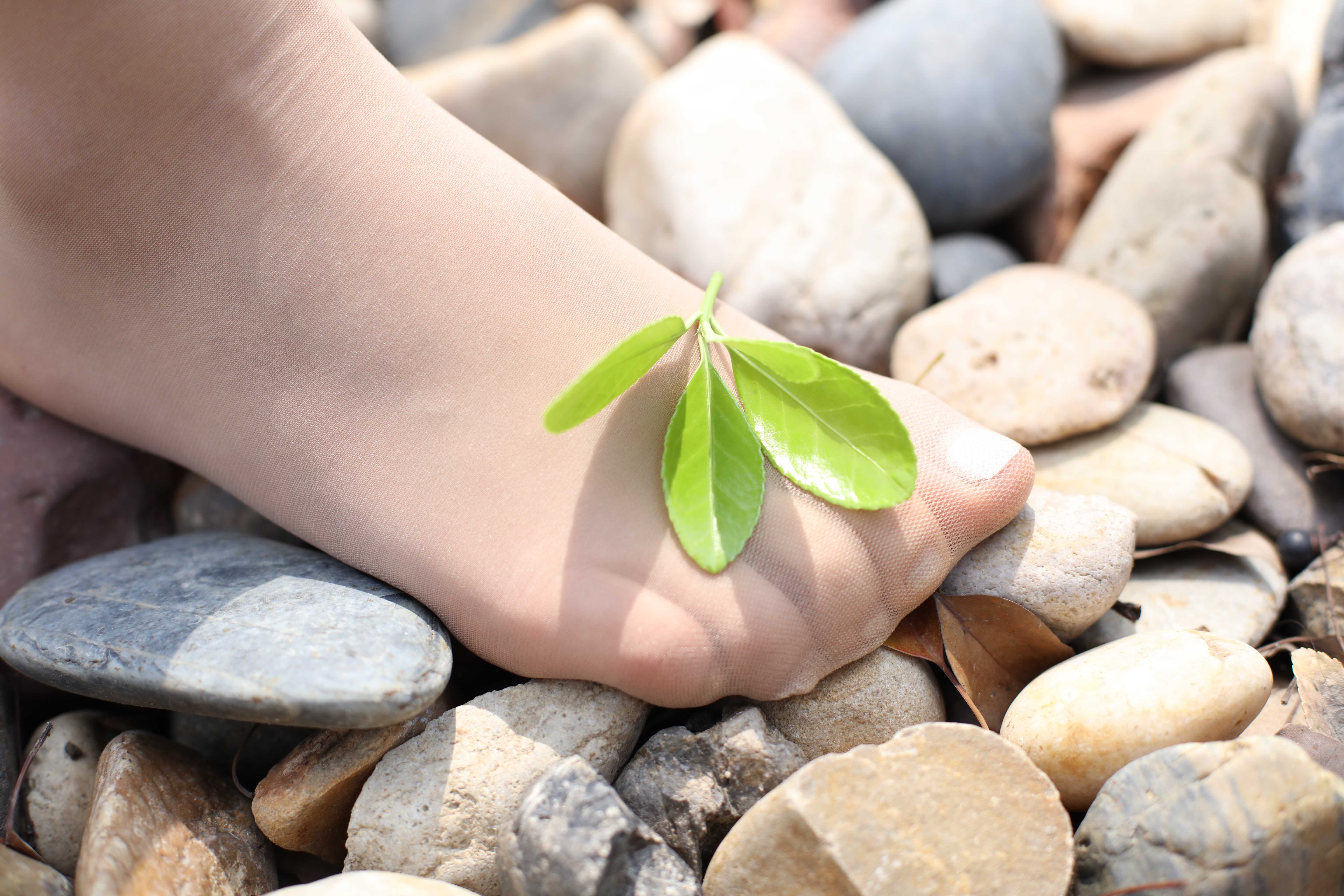 China Beauty Legs and feet 384