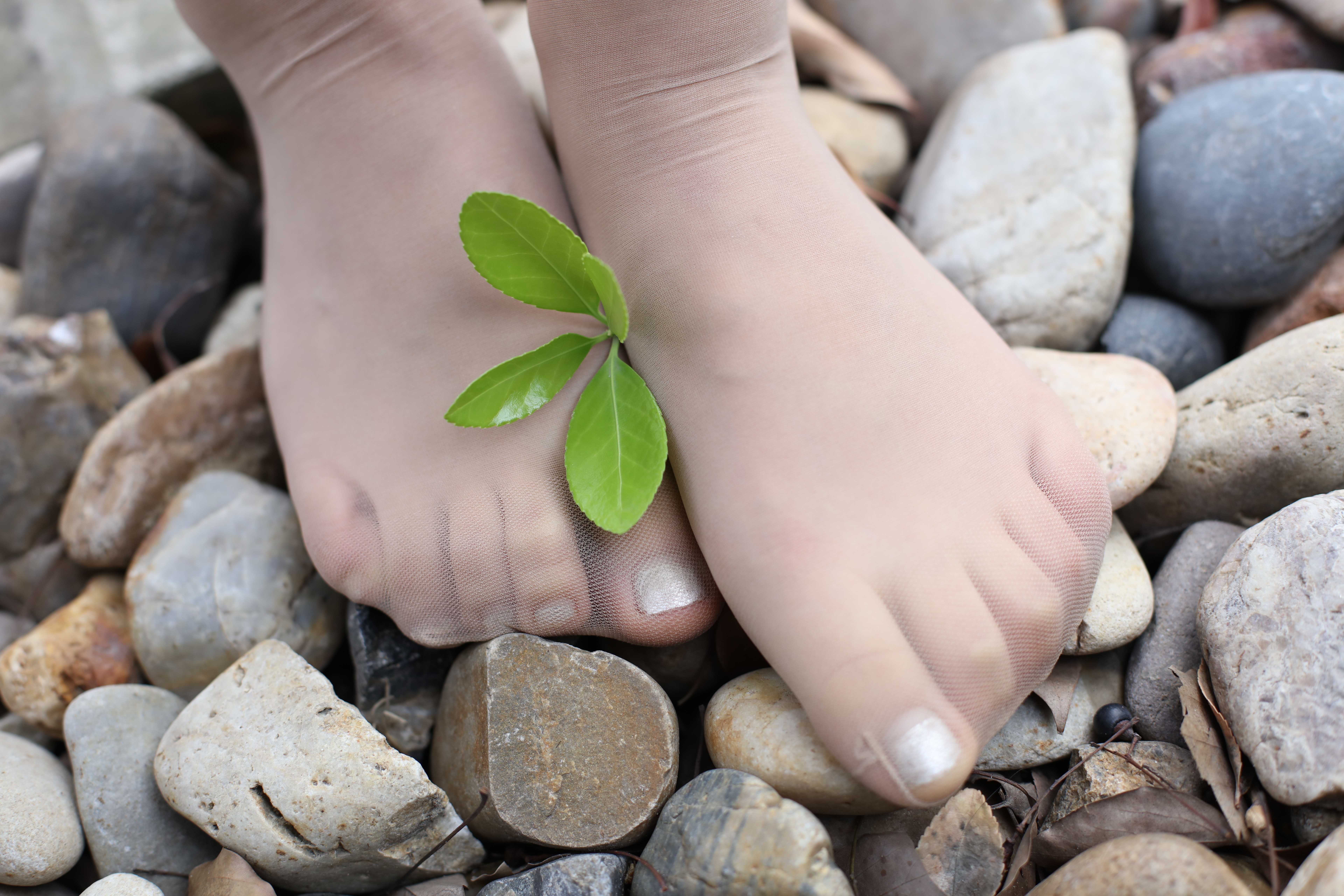 China Beauty Legs and feet 384