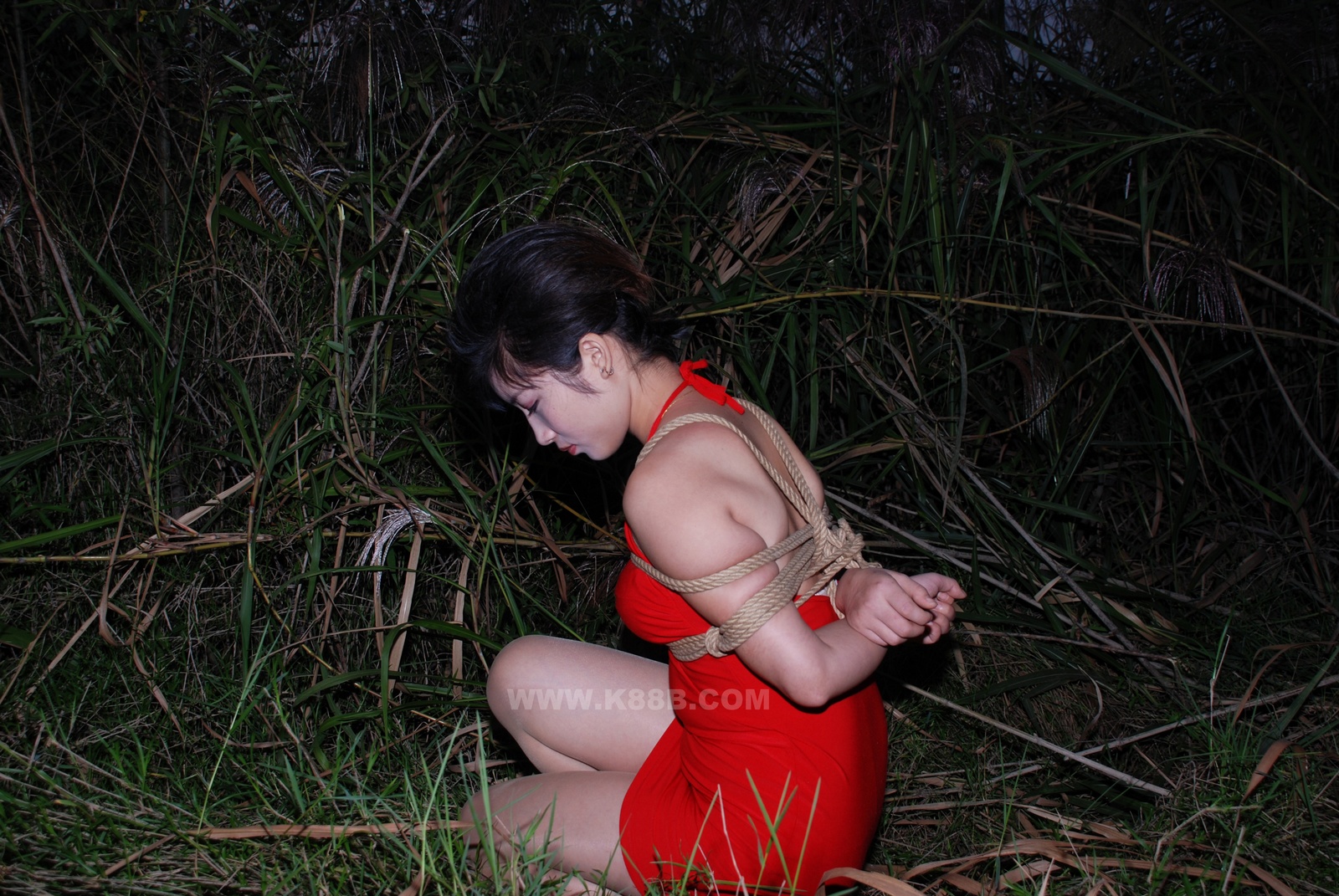 Chinese Rope Model 399-2