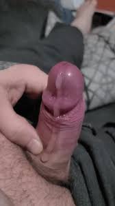 Pre cum licking  and delicious stinking smegma cocks