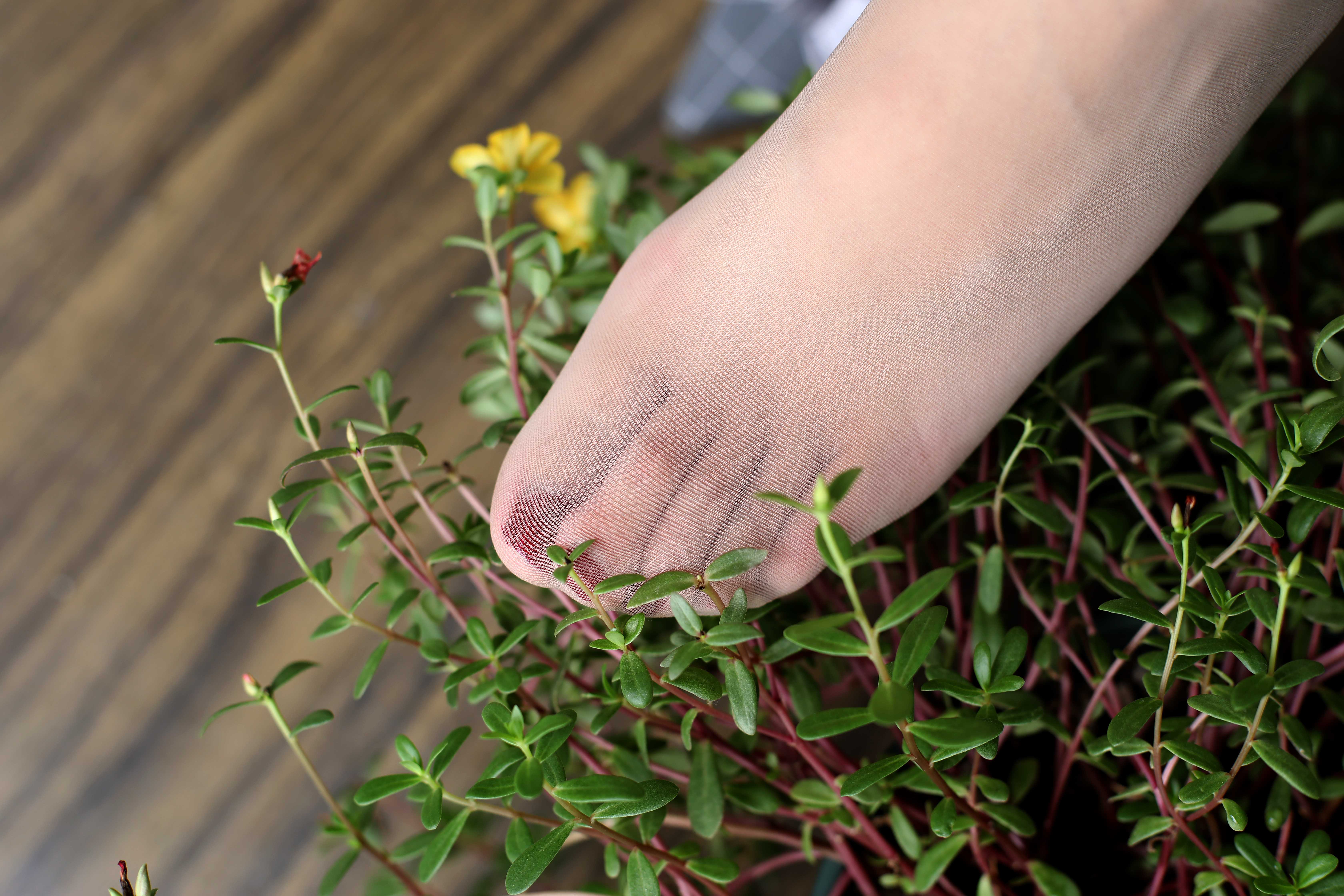 China Beauty Legs and feet 437