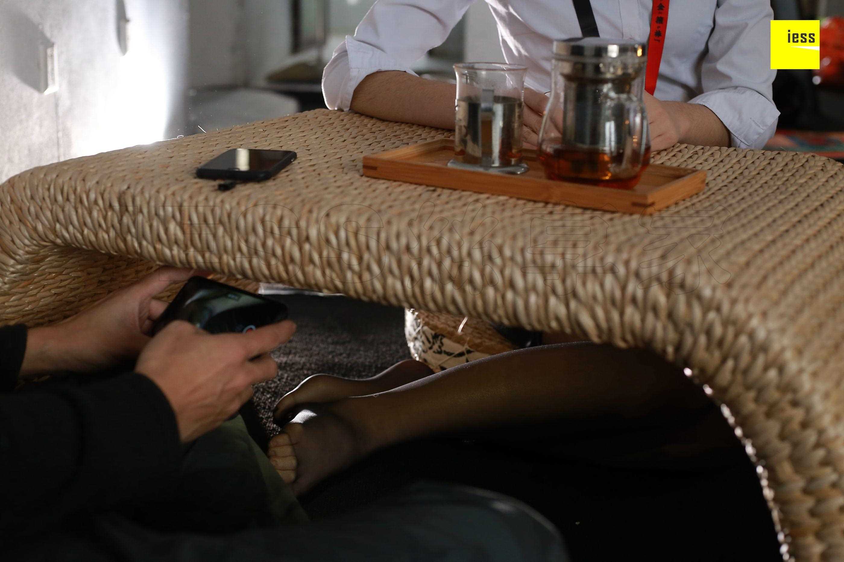 China Beauty Legs and feet 442-2