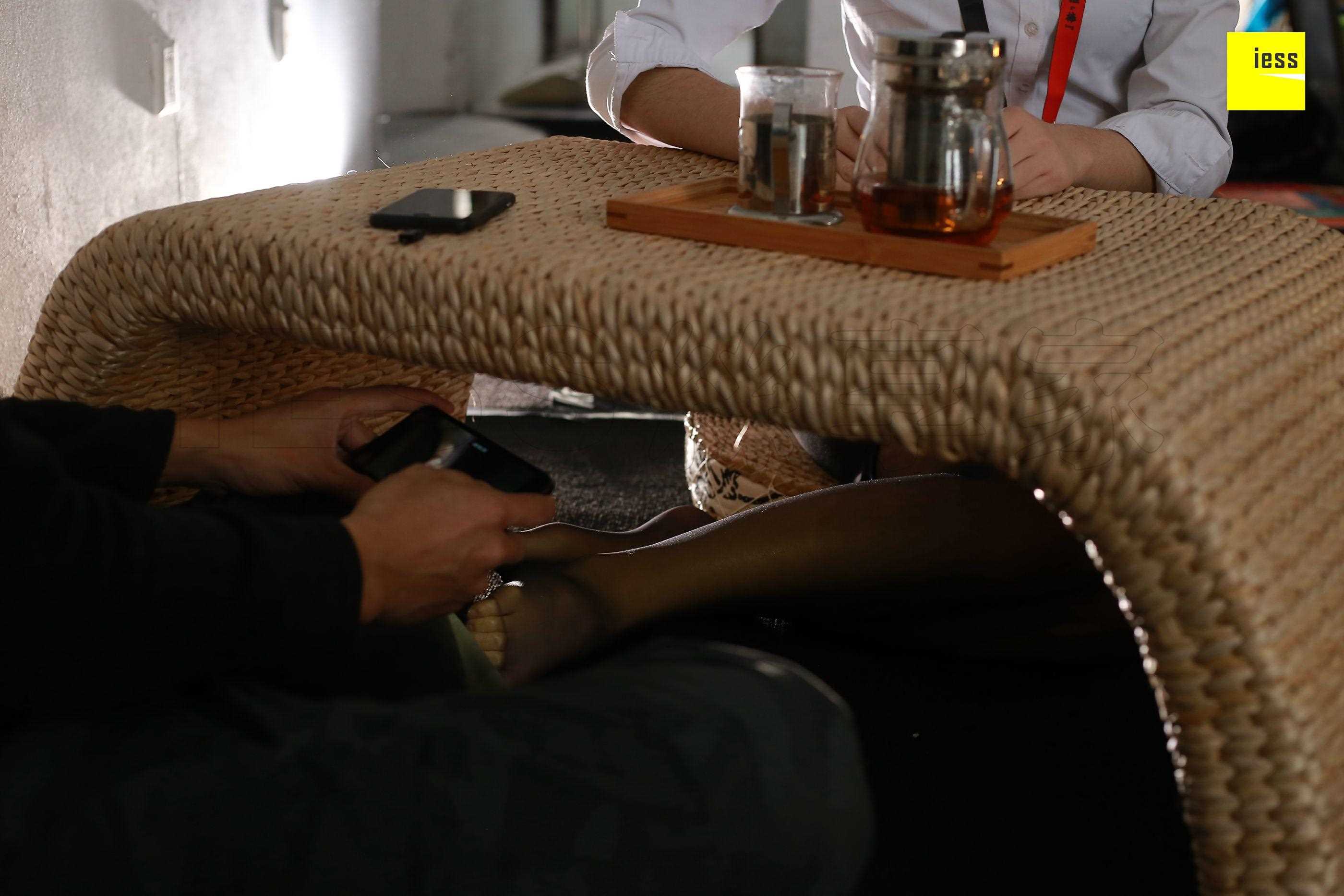 China Beauty Legs and feet 442-2