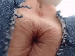 Spread Assholes getting fucked with dildos and cocks