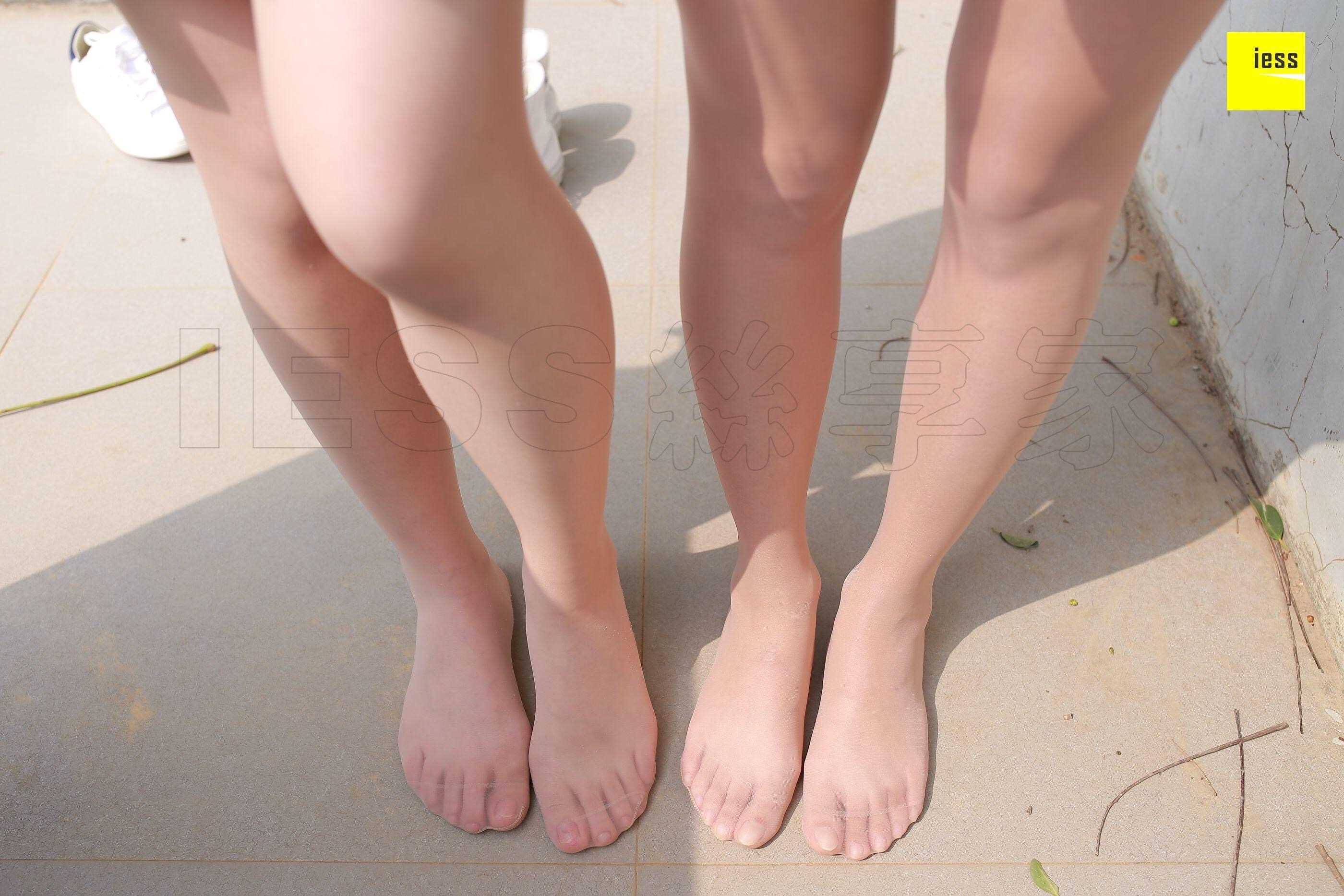 China Beauty Legs and feet 447