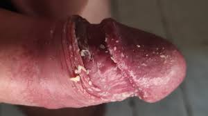 For passionate cock and cum lovers