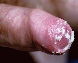 For passionate cock and cum lovers