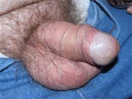 For passionate cock and cum lovers