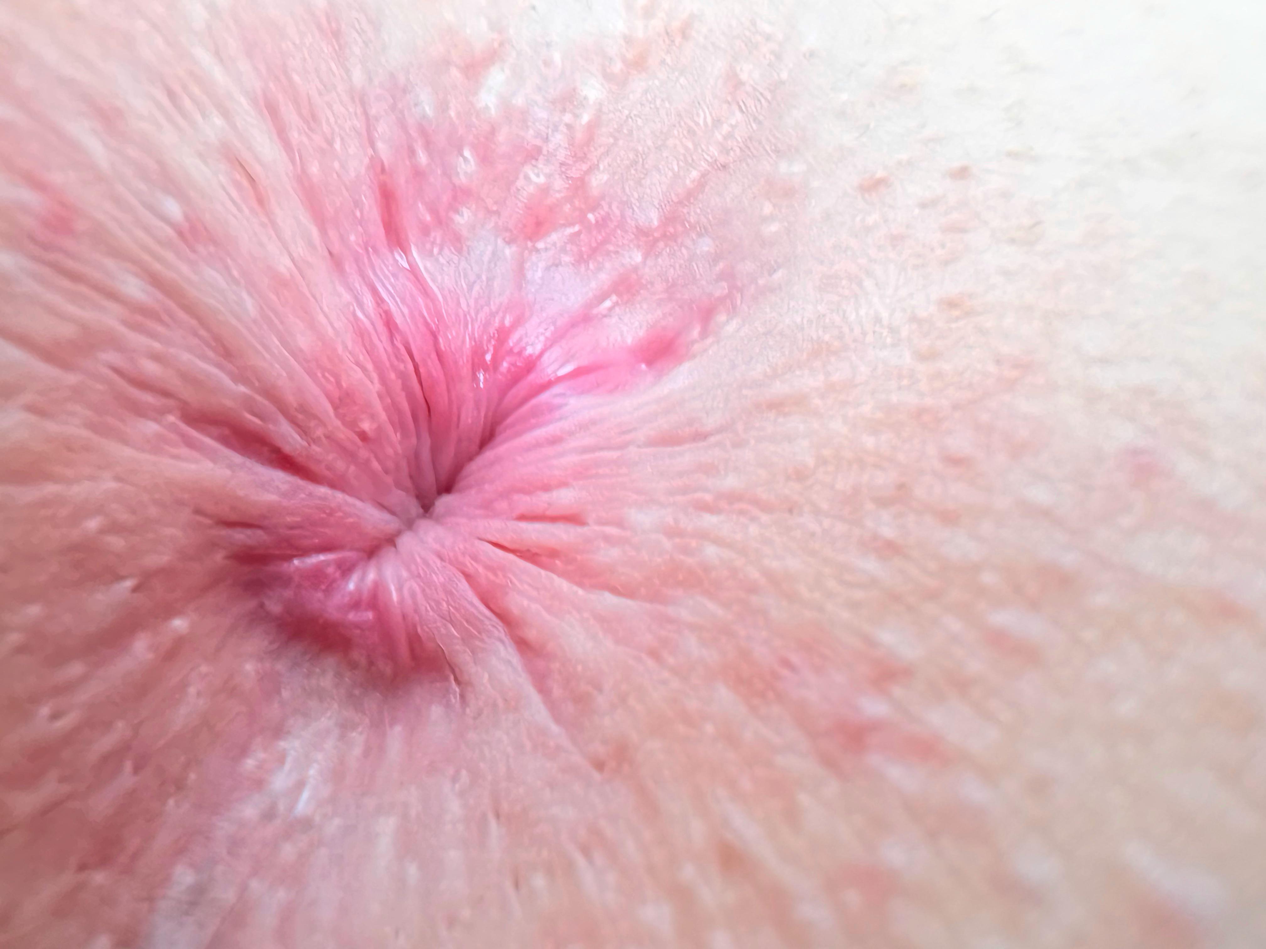 Pink pussy’s and assholes