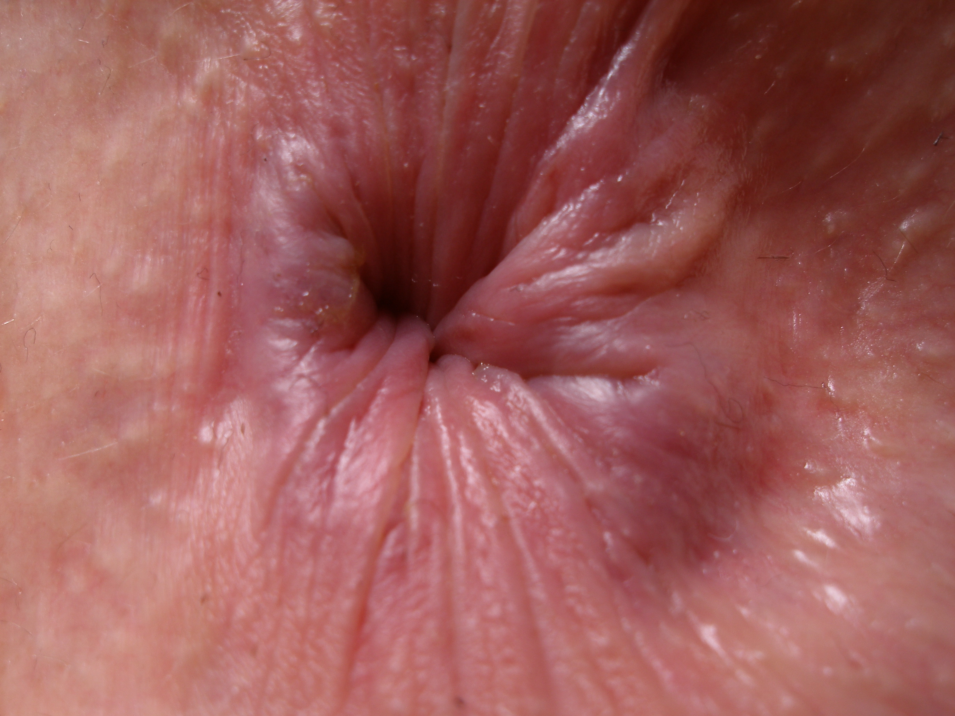 Pink pussy’s and assholes