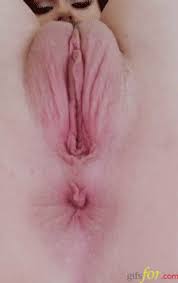 Pink pussy’s and assholes