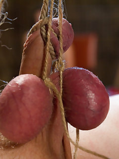 cock and ball tourture